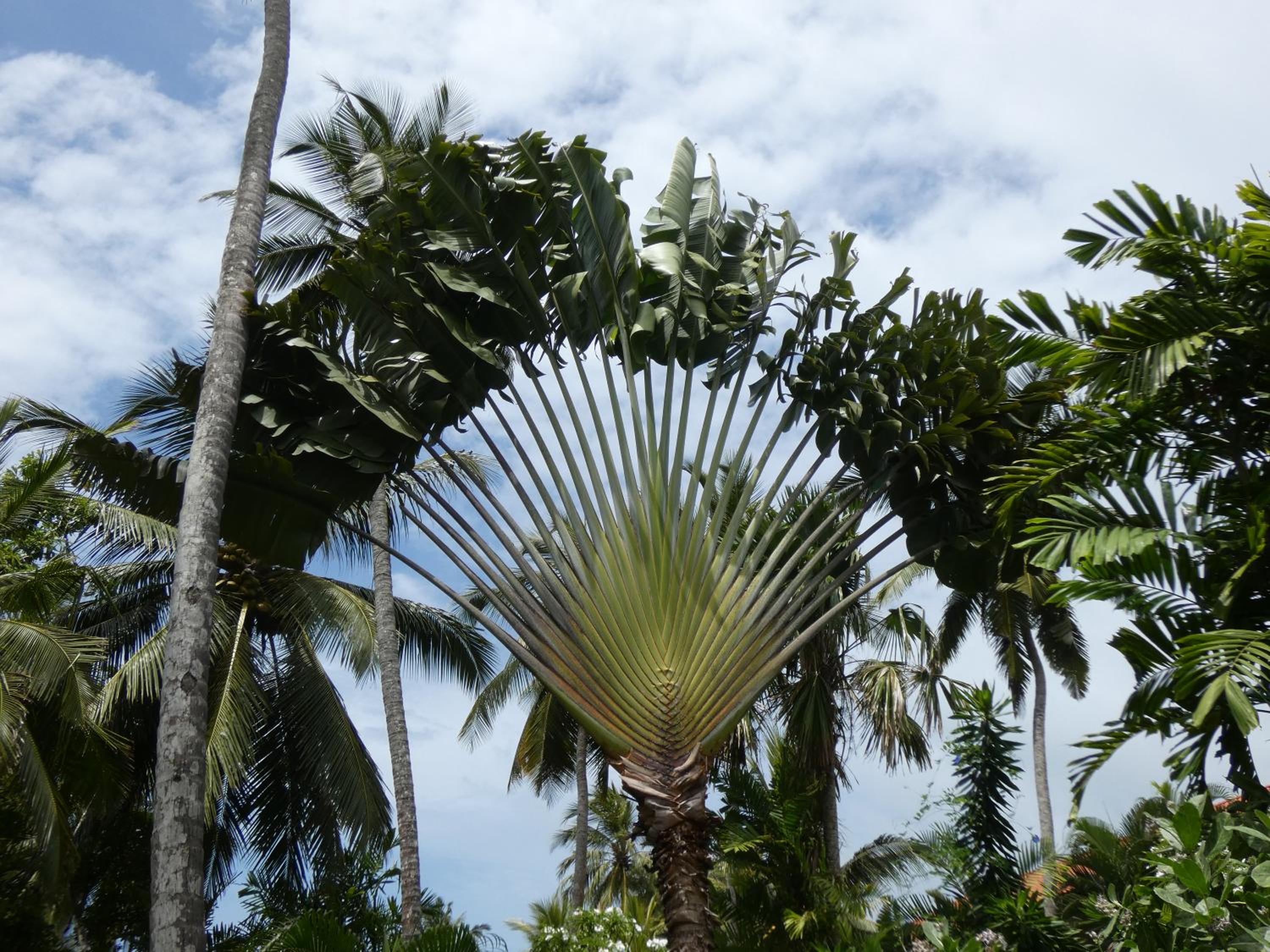 Pahalage Guesthouse