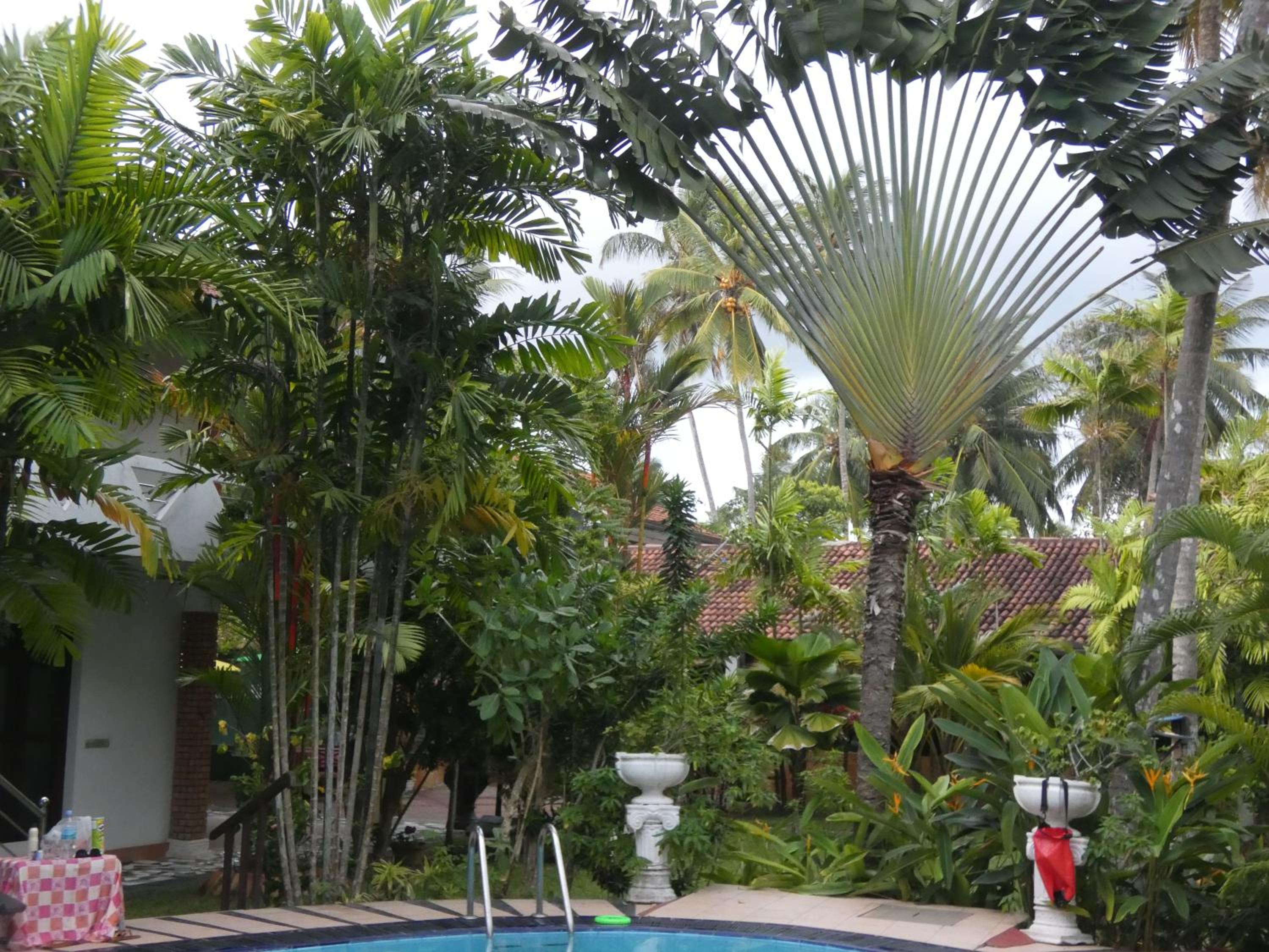 Pahalage Guesthouse