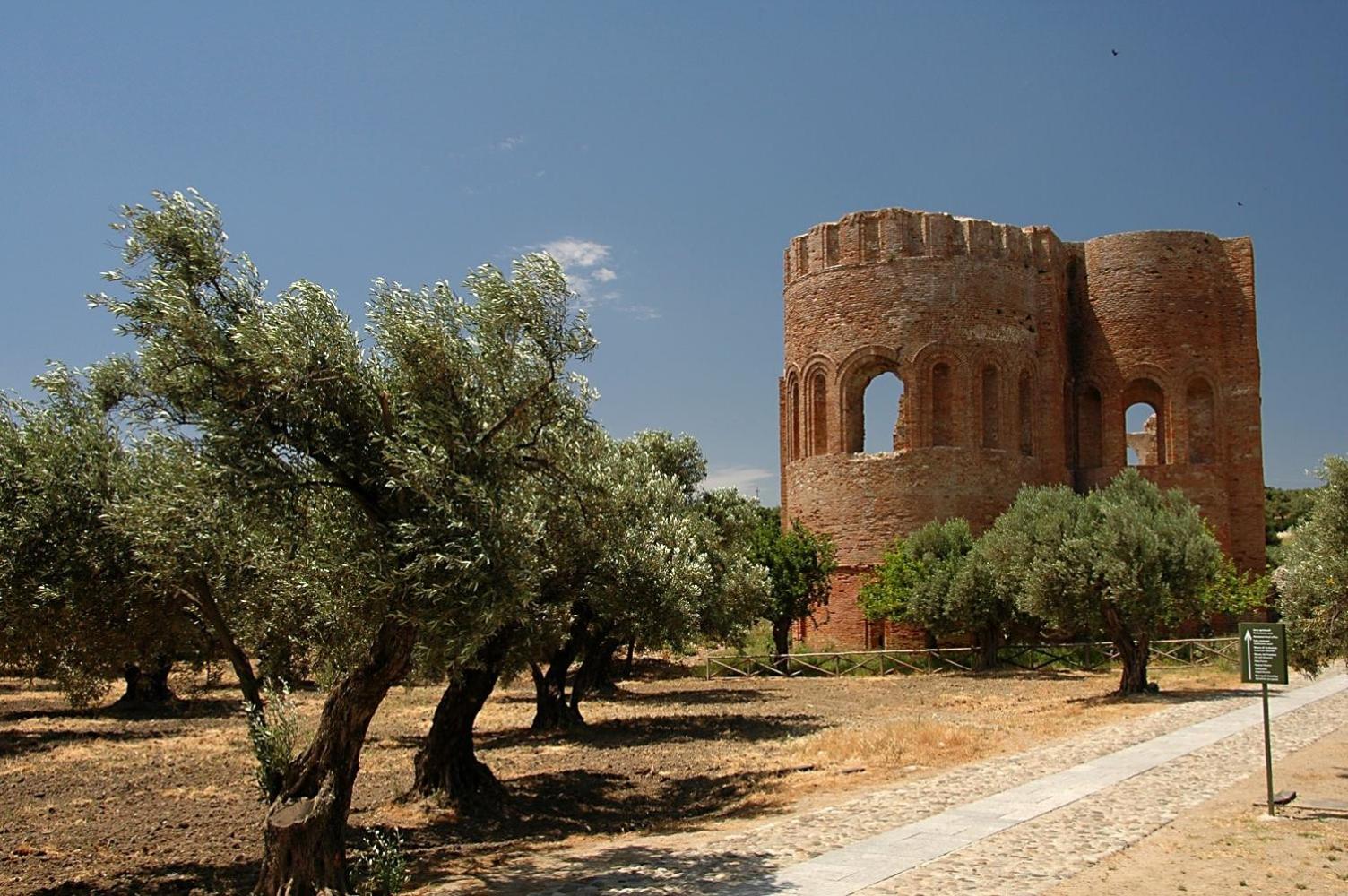 Photo 41
