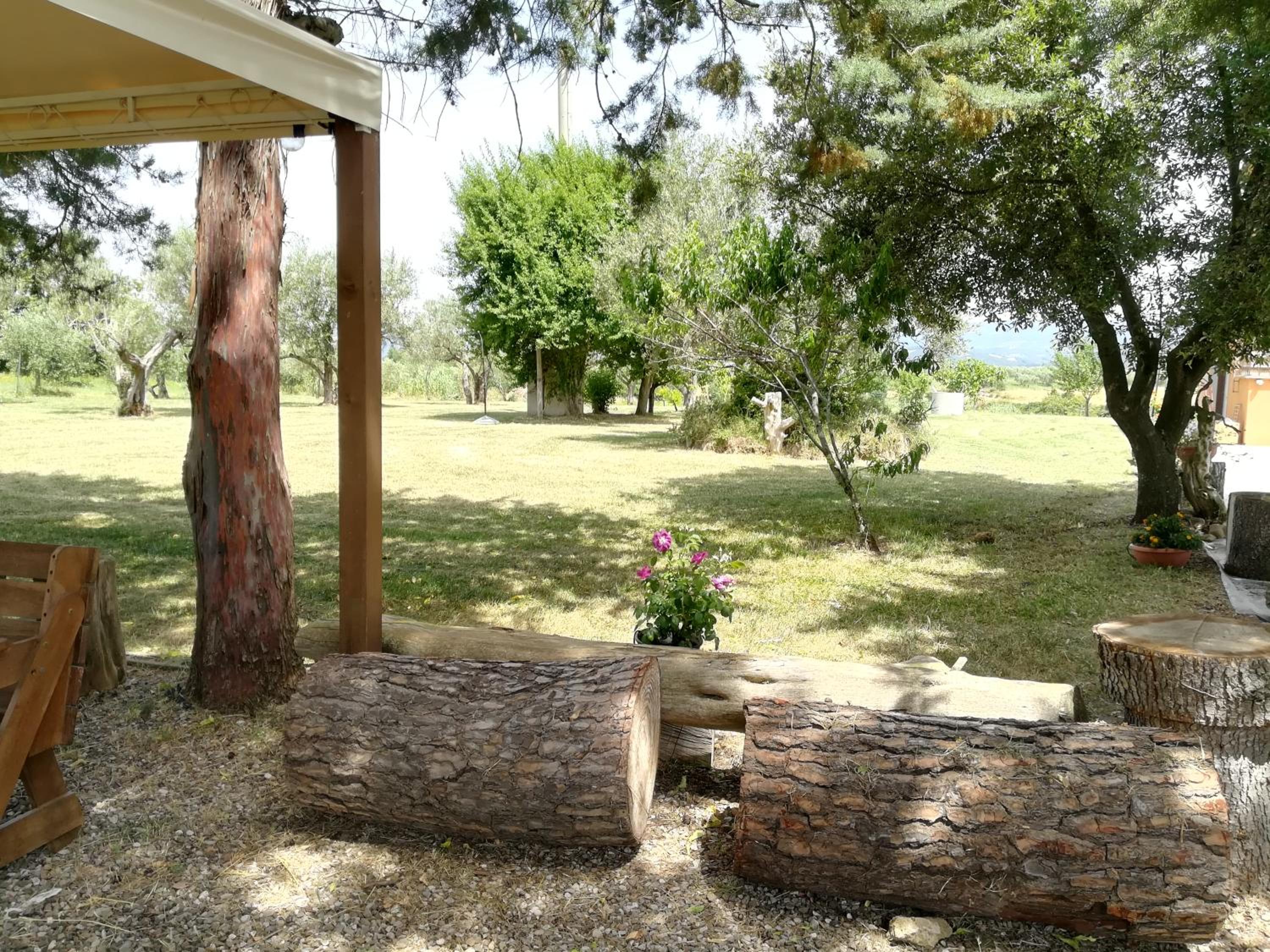 Photo 8