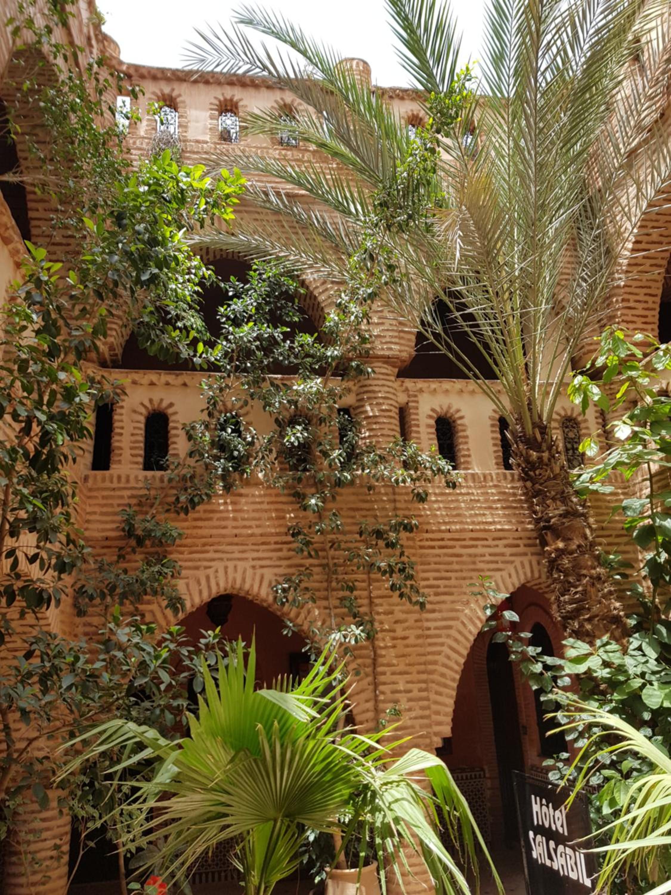 garden