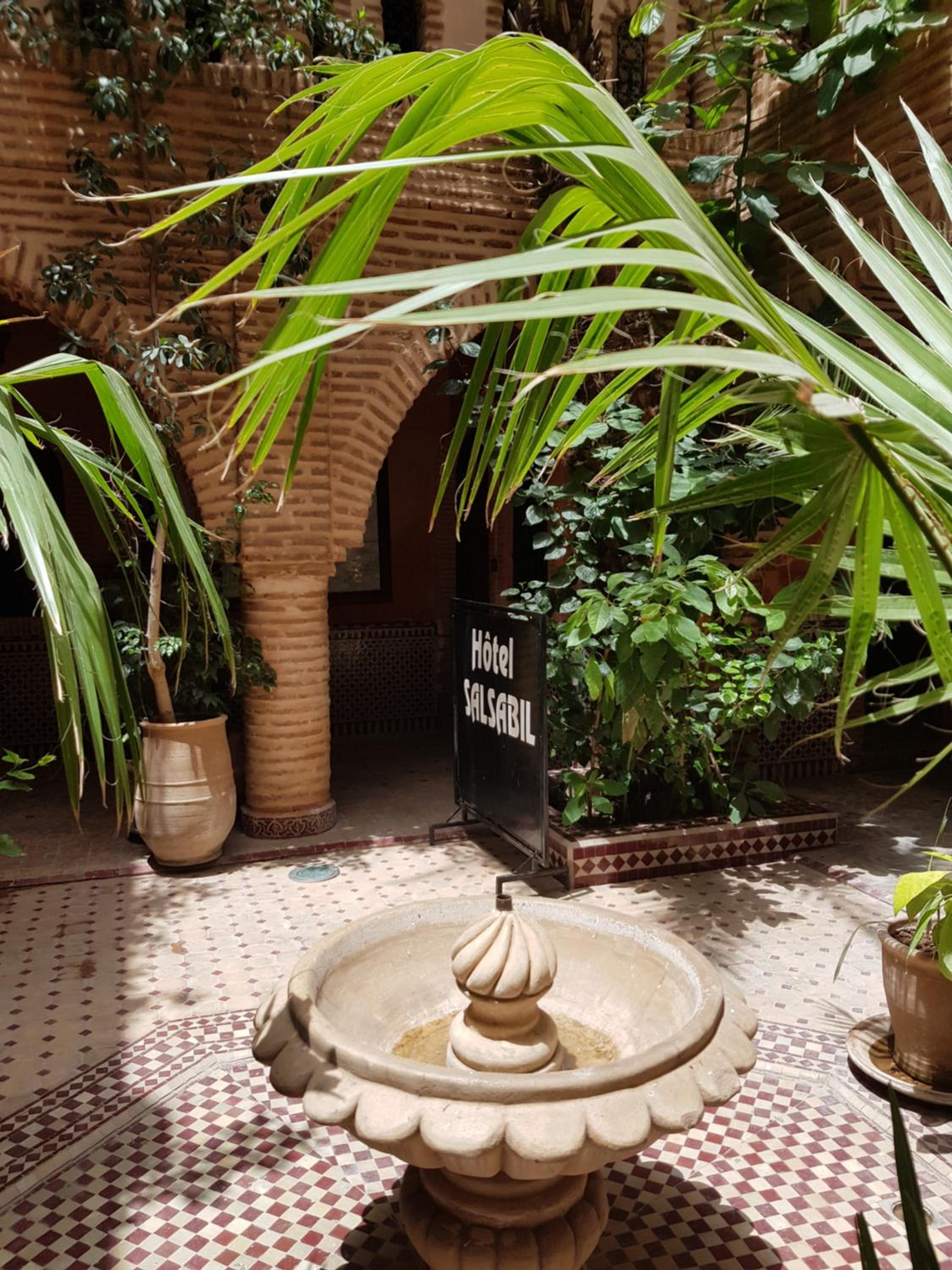 garden