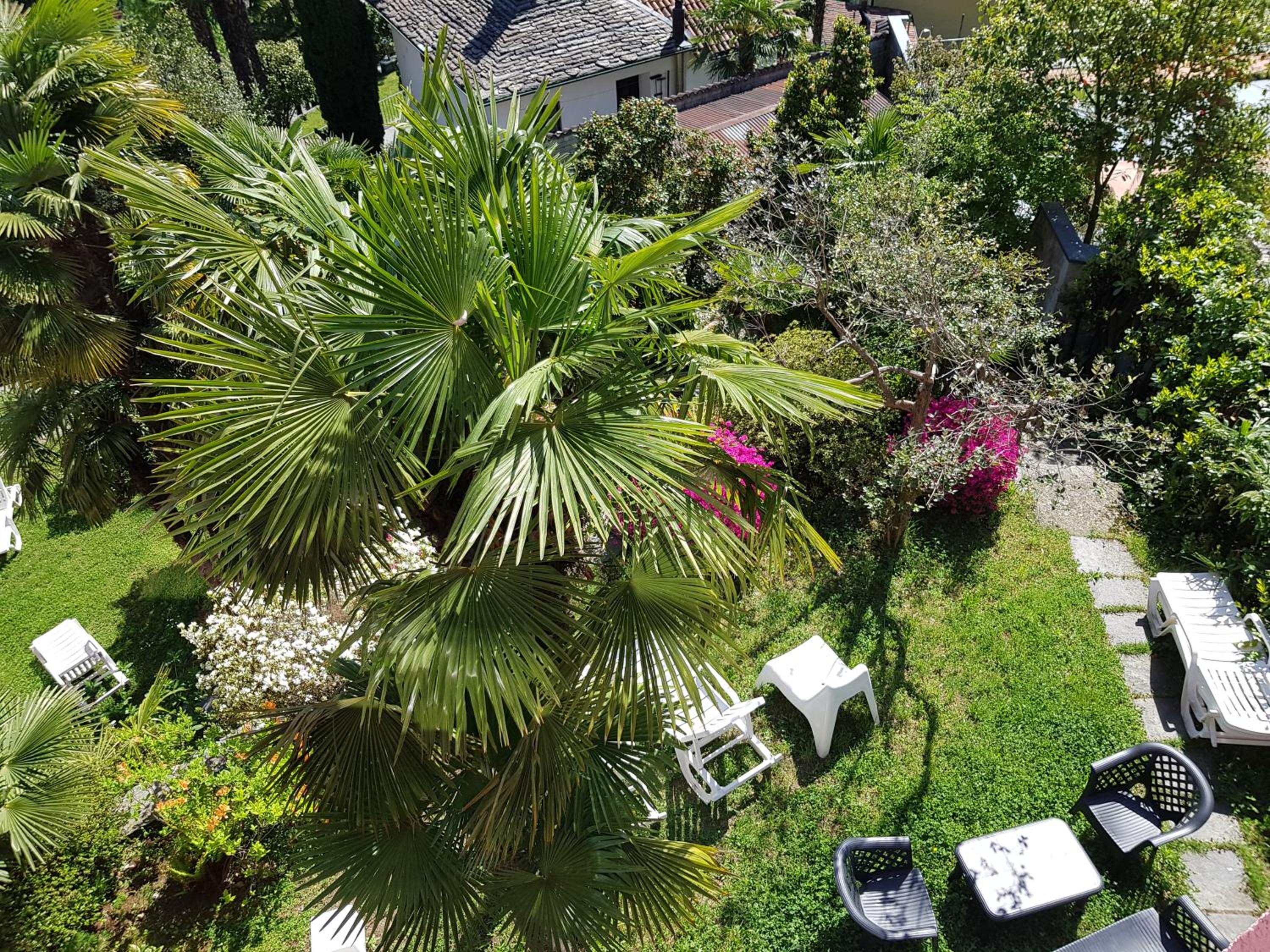 Residence Venus Garden