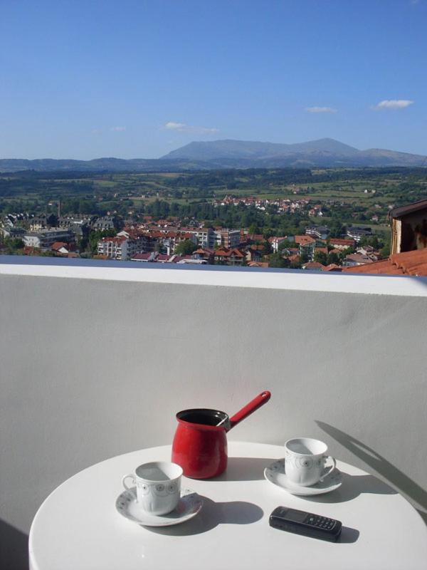 Apartman Jovana Sokobanja view 2