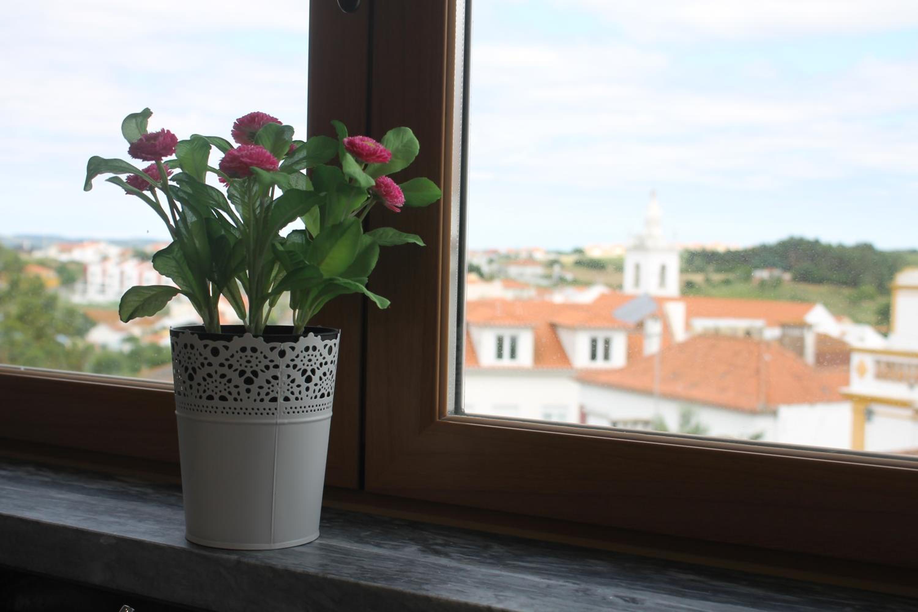 Maria Violeta Tourism Apartment