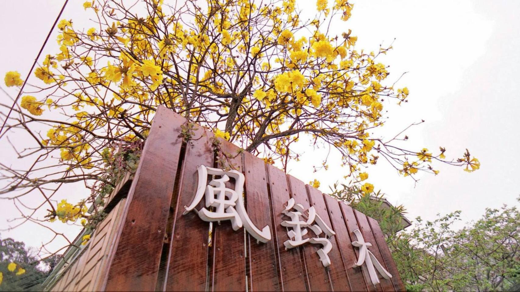 Nanchuang Wind Suzuki Coffee Houses view 5