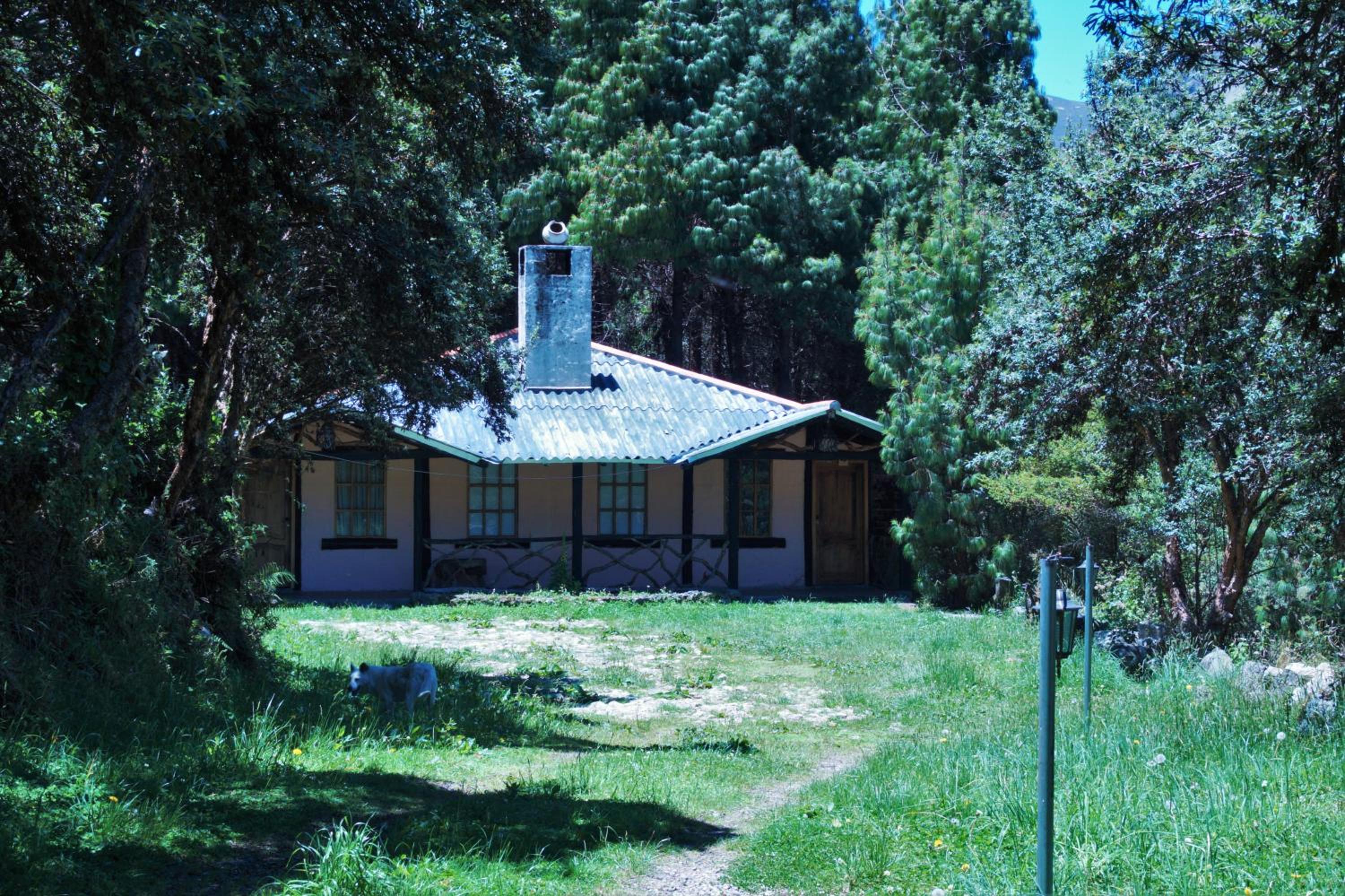 Photo 37
