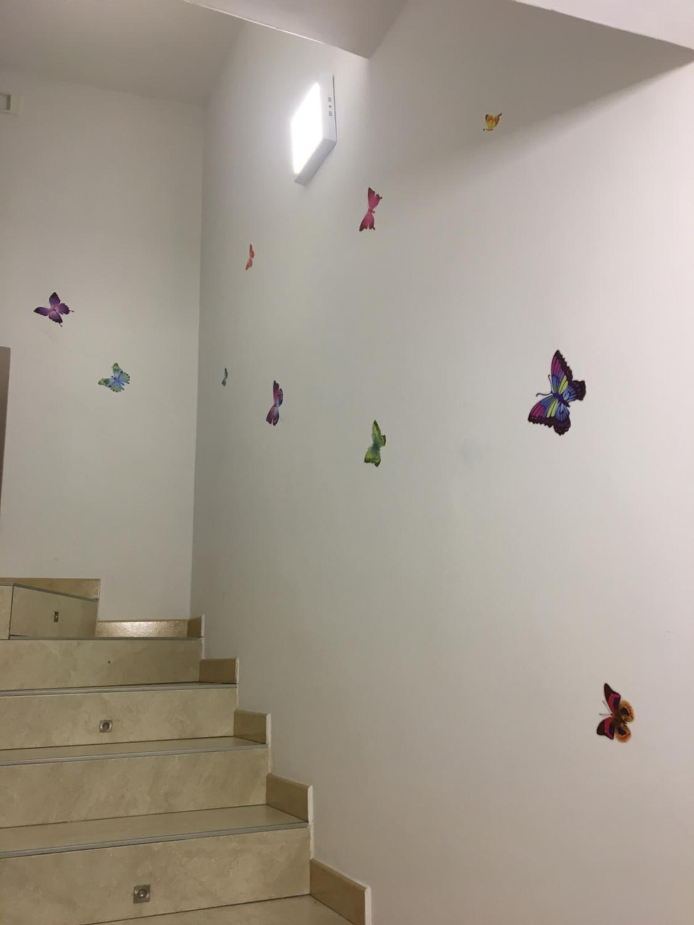 Il Cuore di Napoli