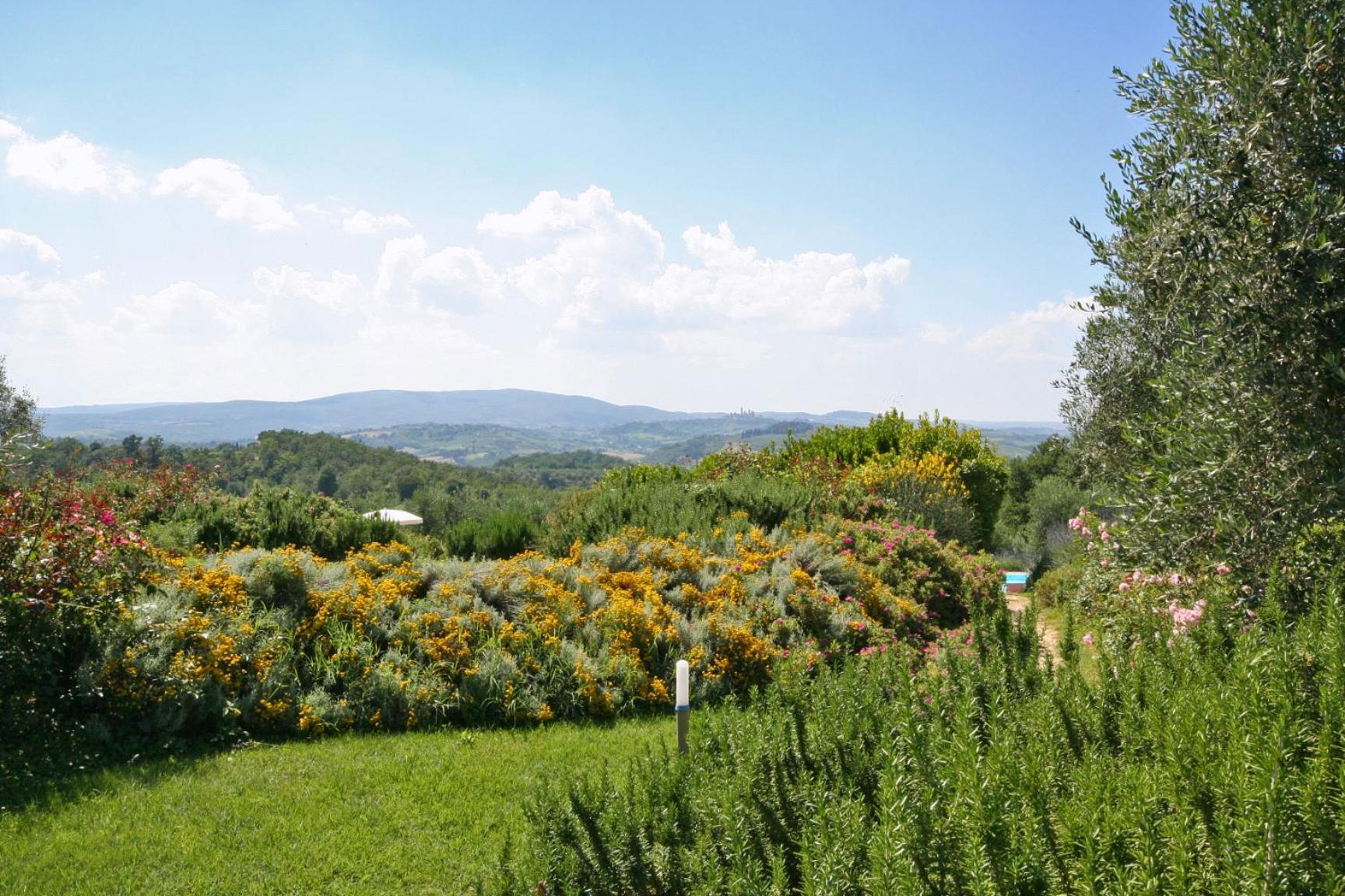 Photo 106
