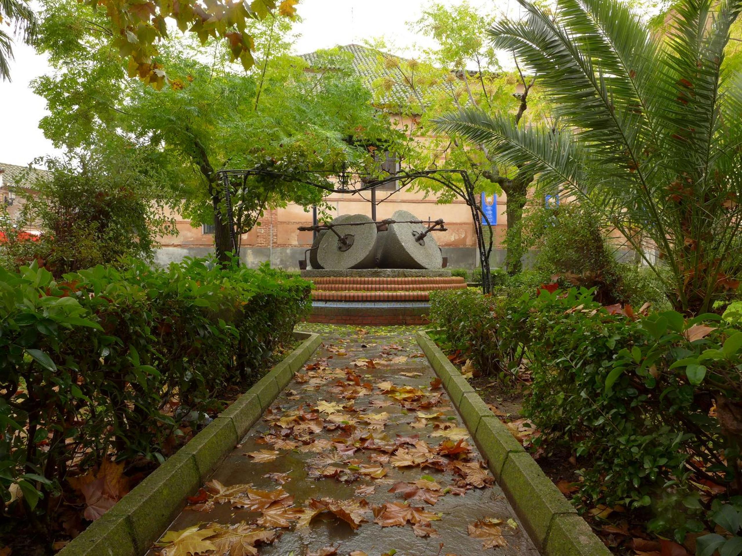 Photo 19