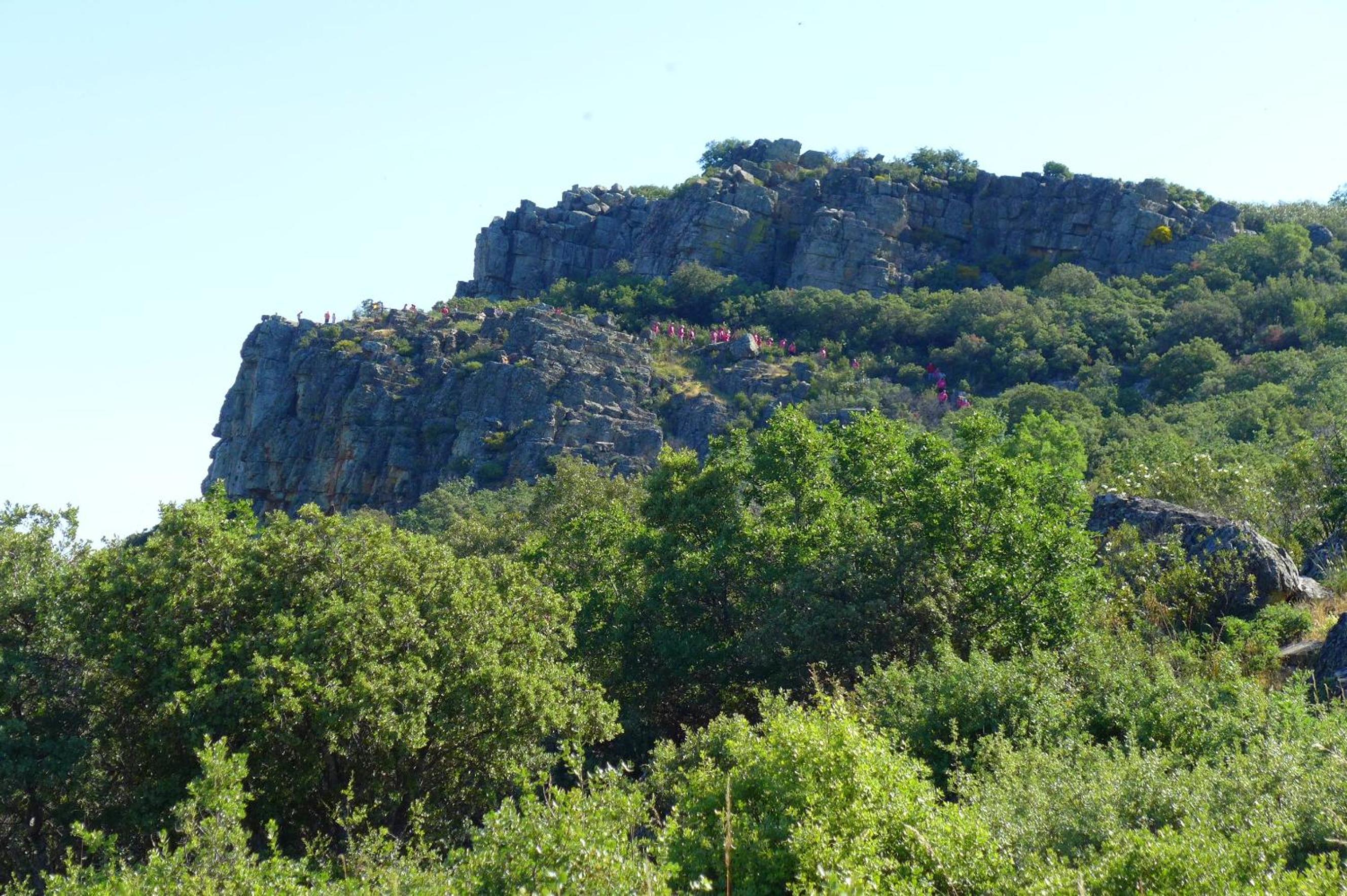 Photo 22