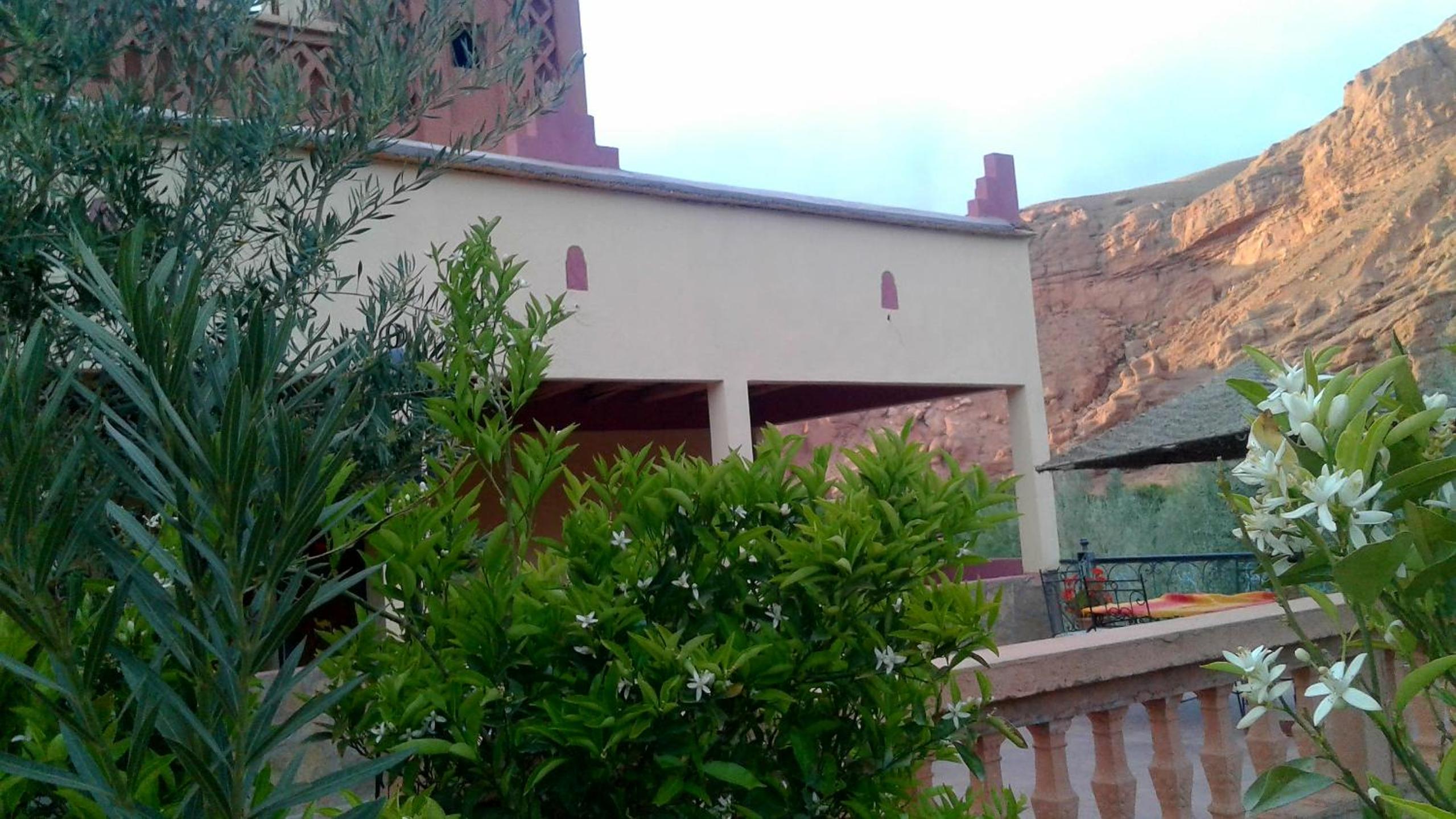 Photo 41