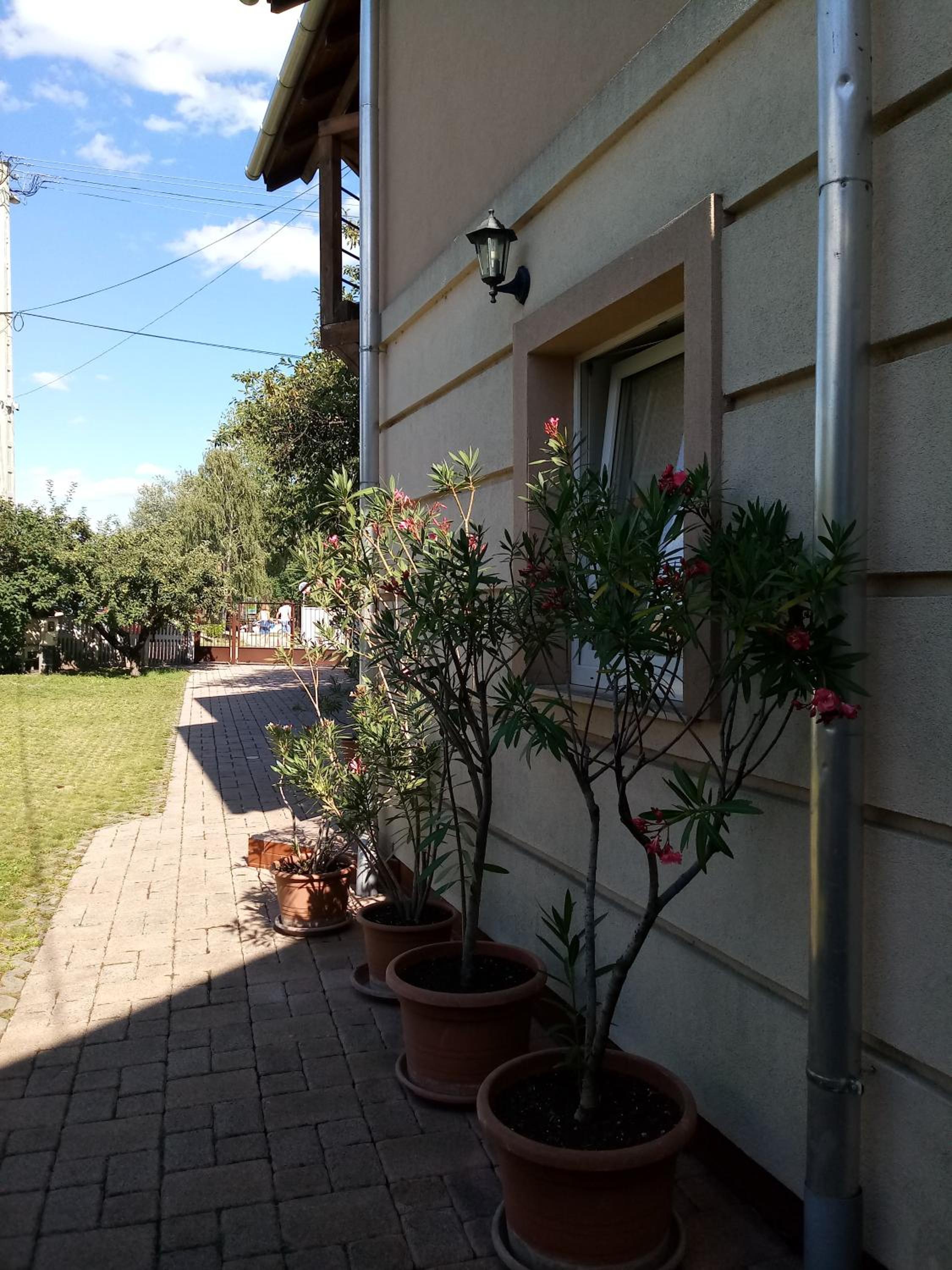 Photo 33