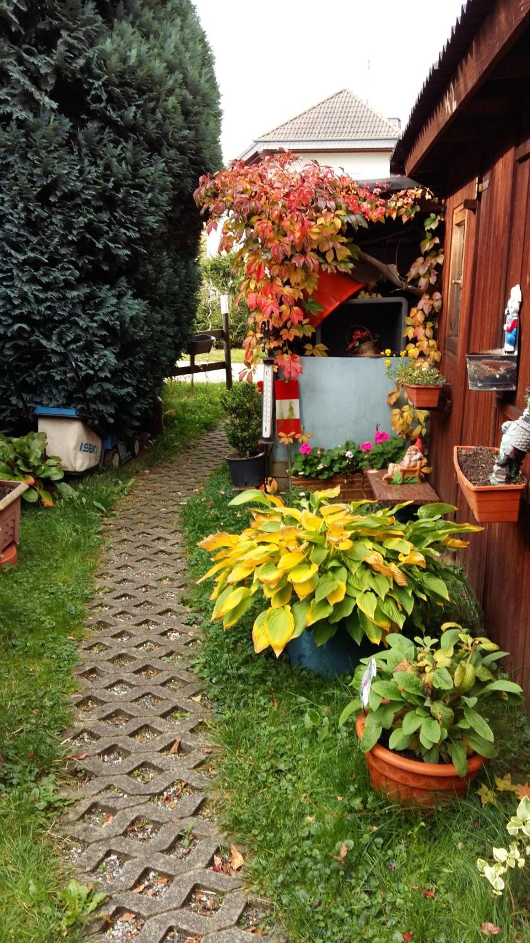 Photo 44