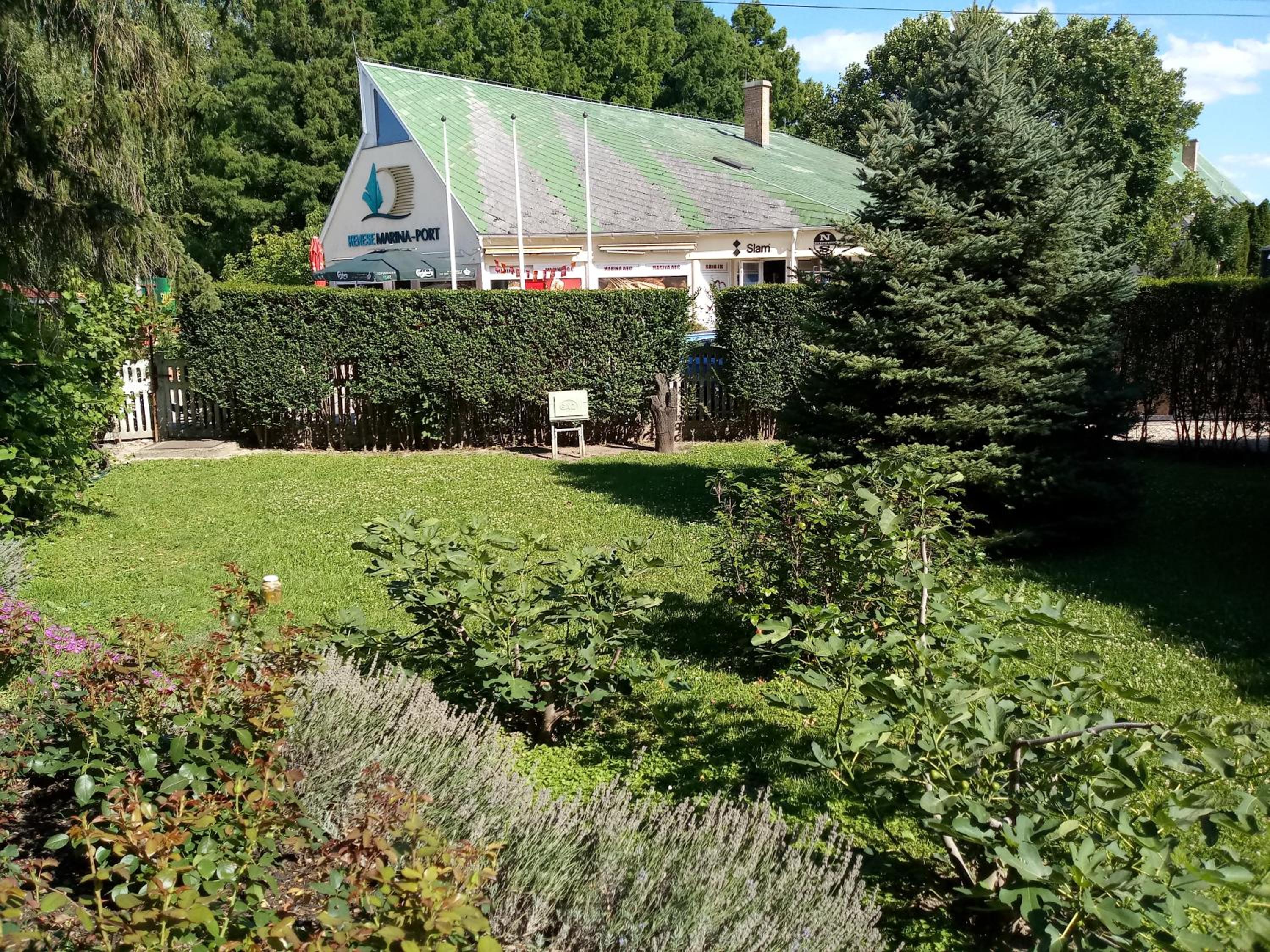 Photo 42