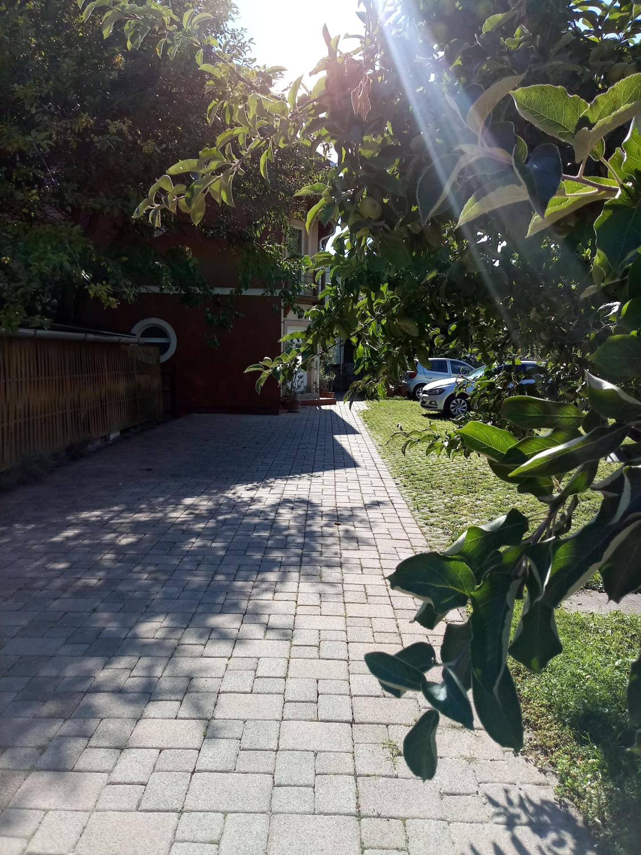 Photo 31