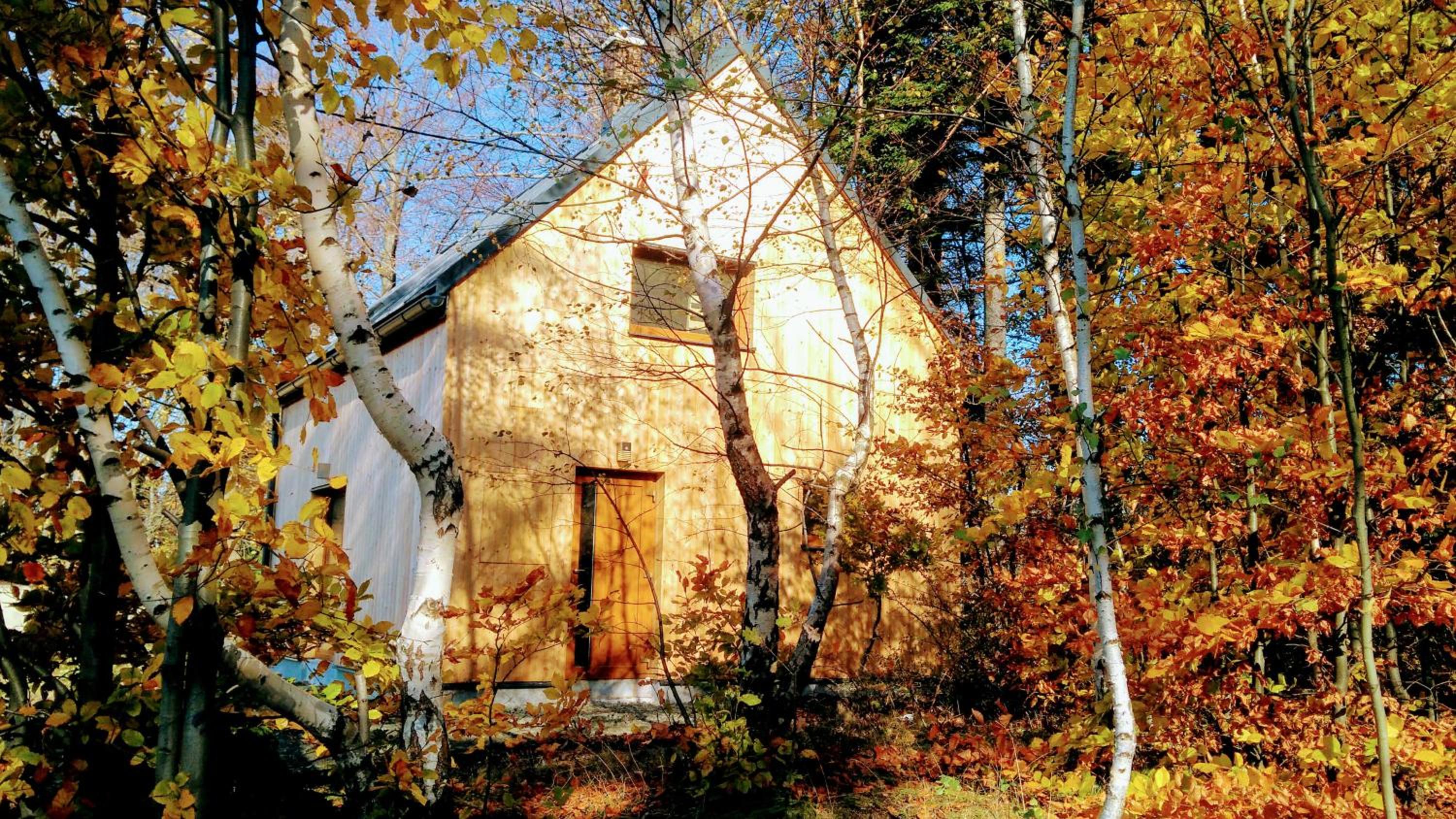 Photo 45