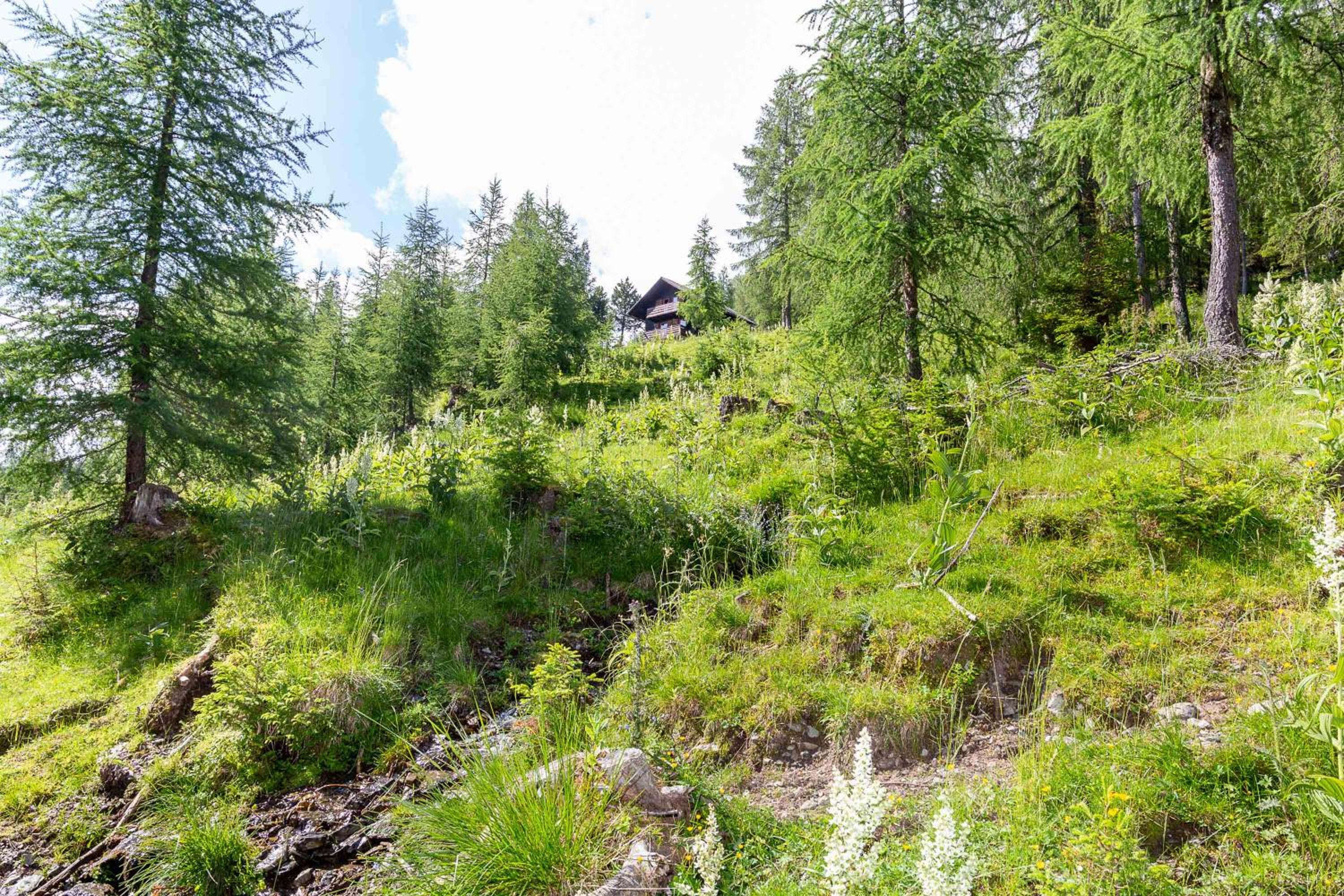 Neuwirth Hütte