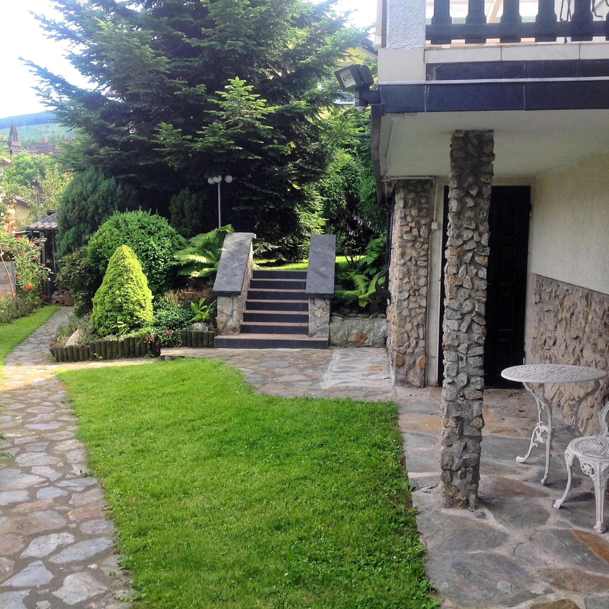 Photo 6