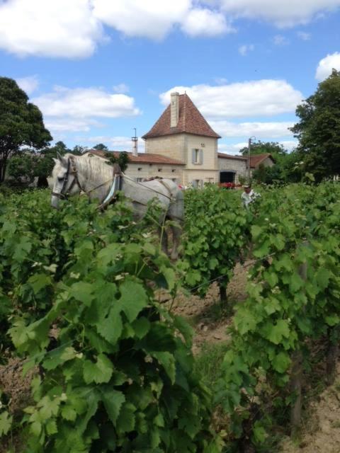 Château Vieux Mougnac