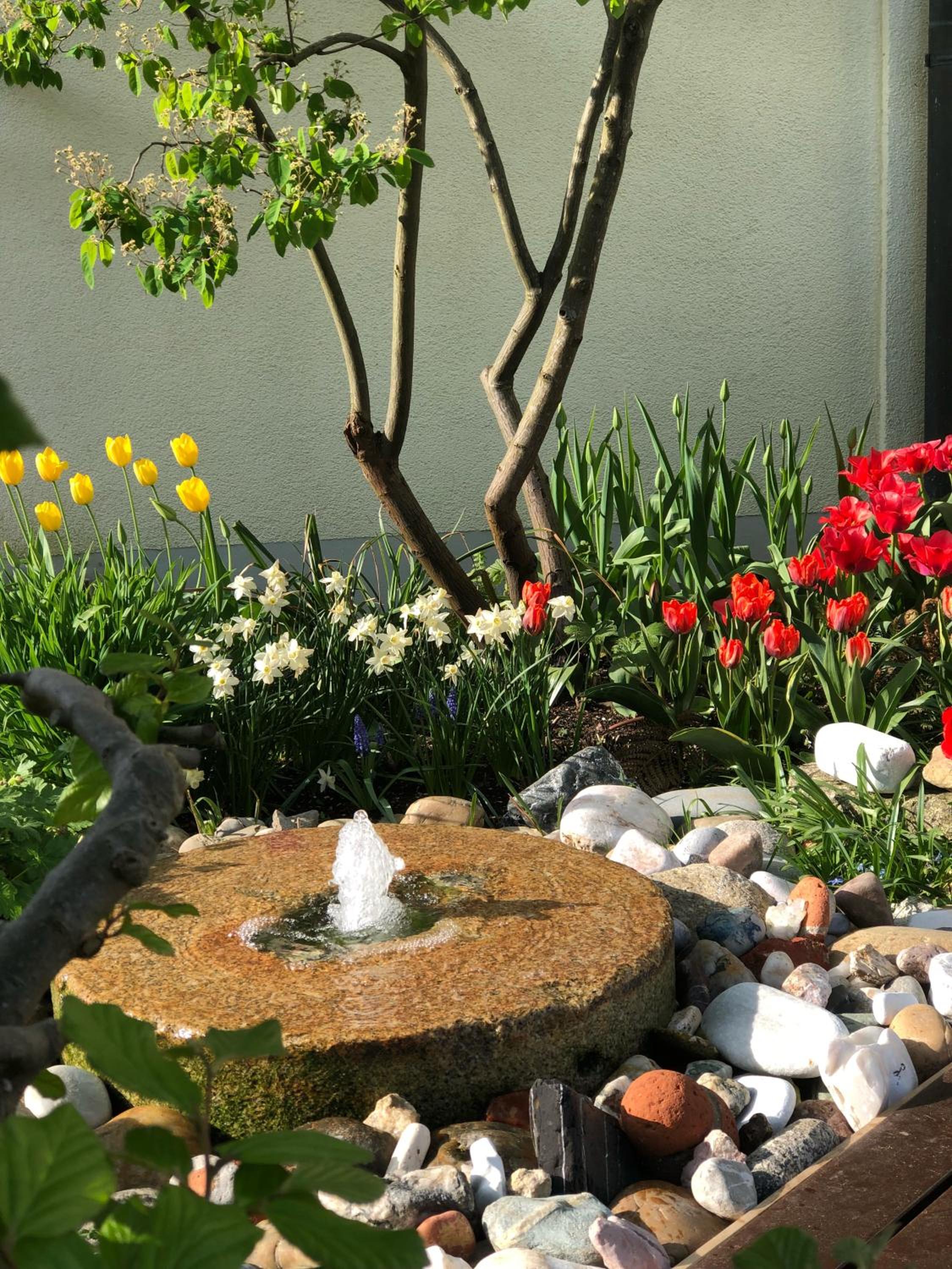 Photo 37