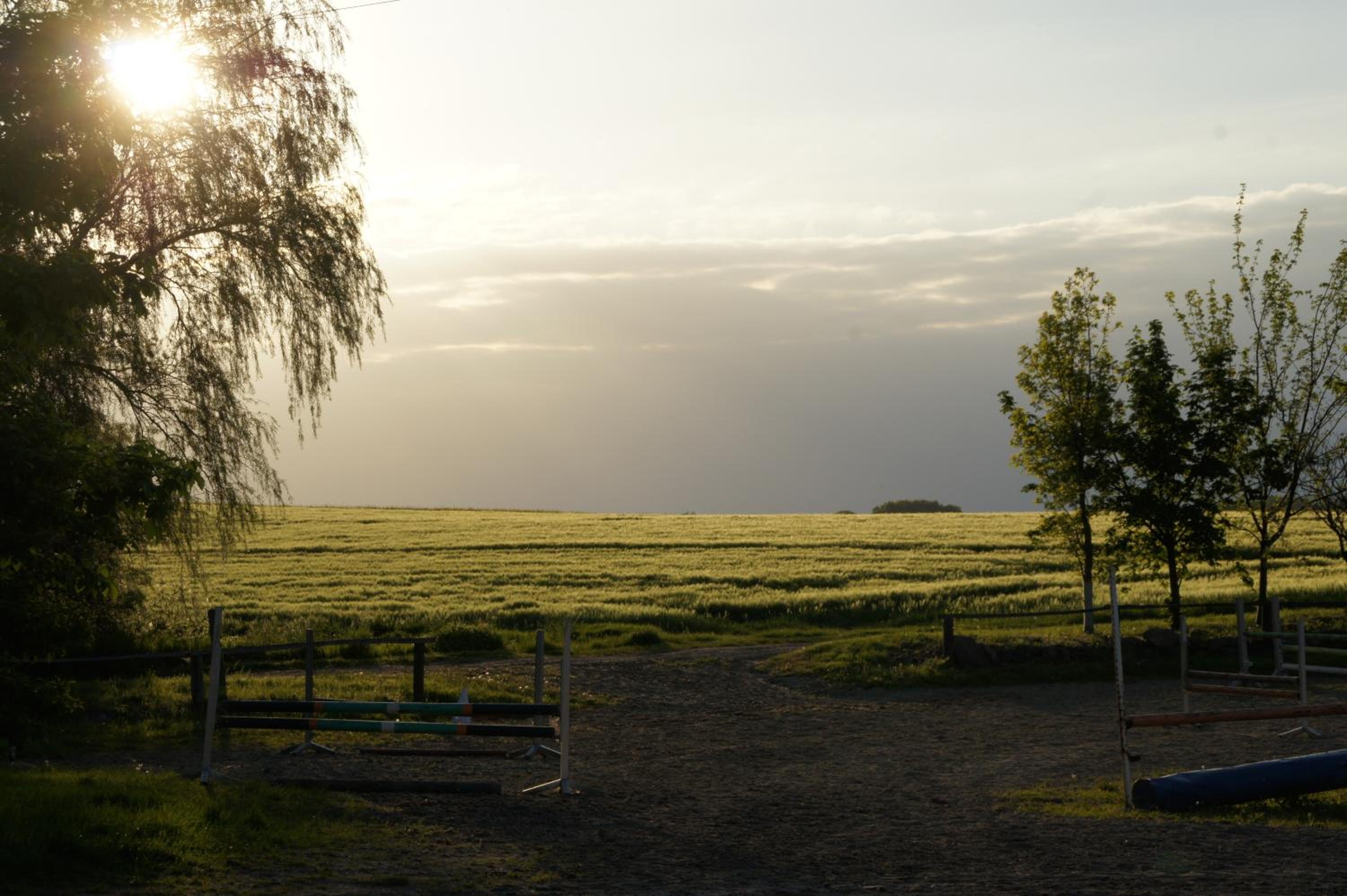 Photo 52