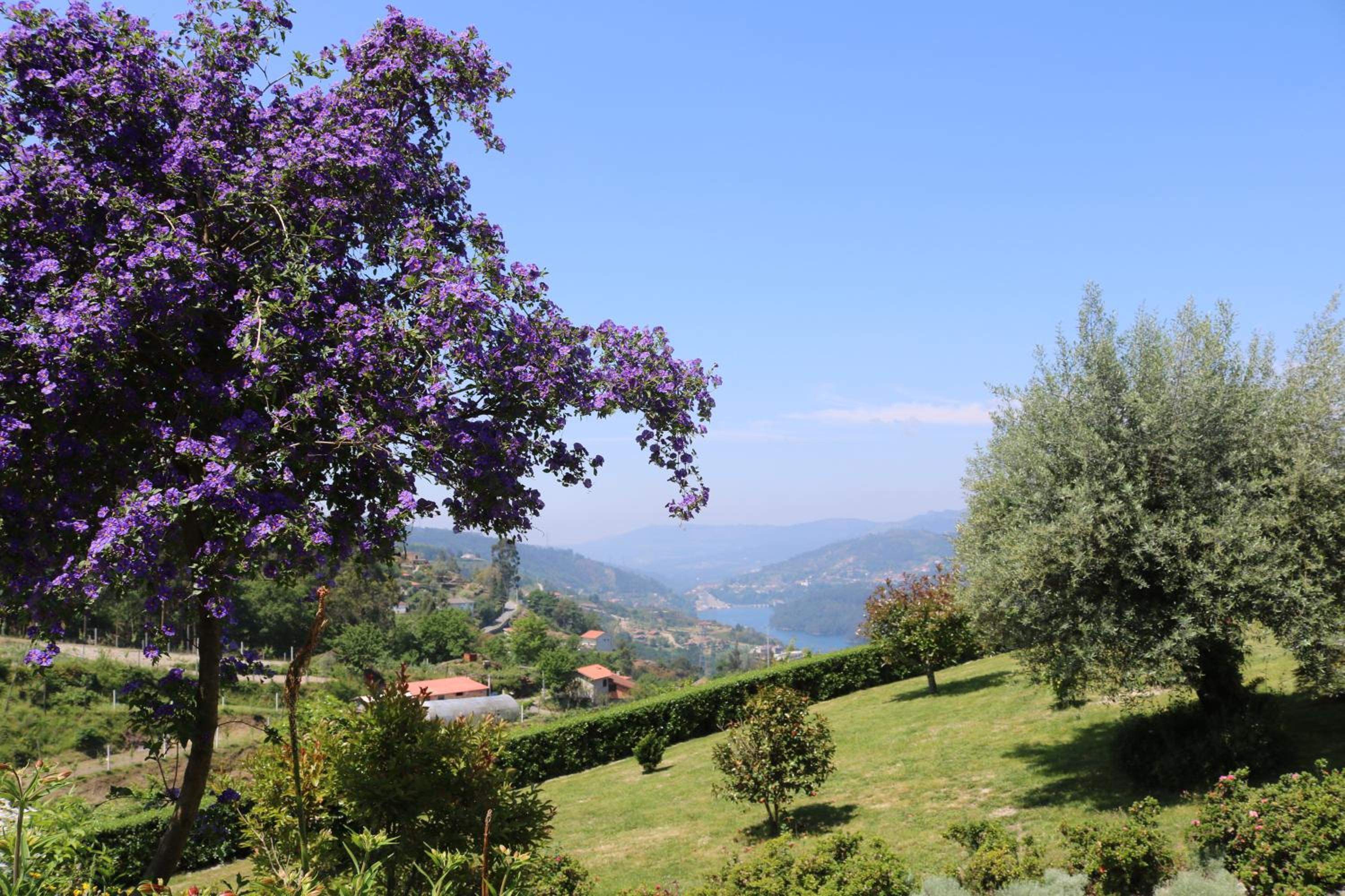 Quinta do Bento