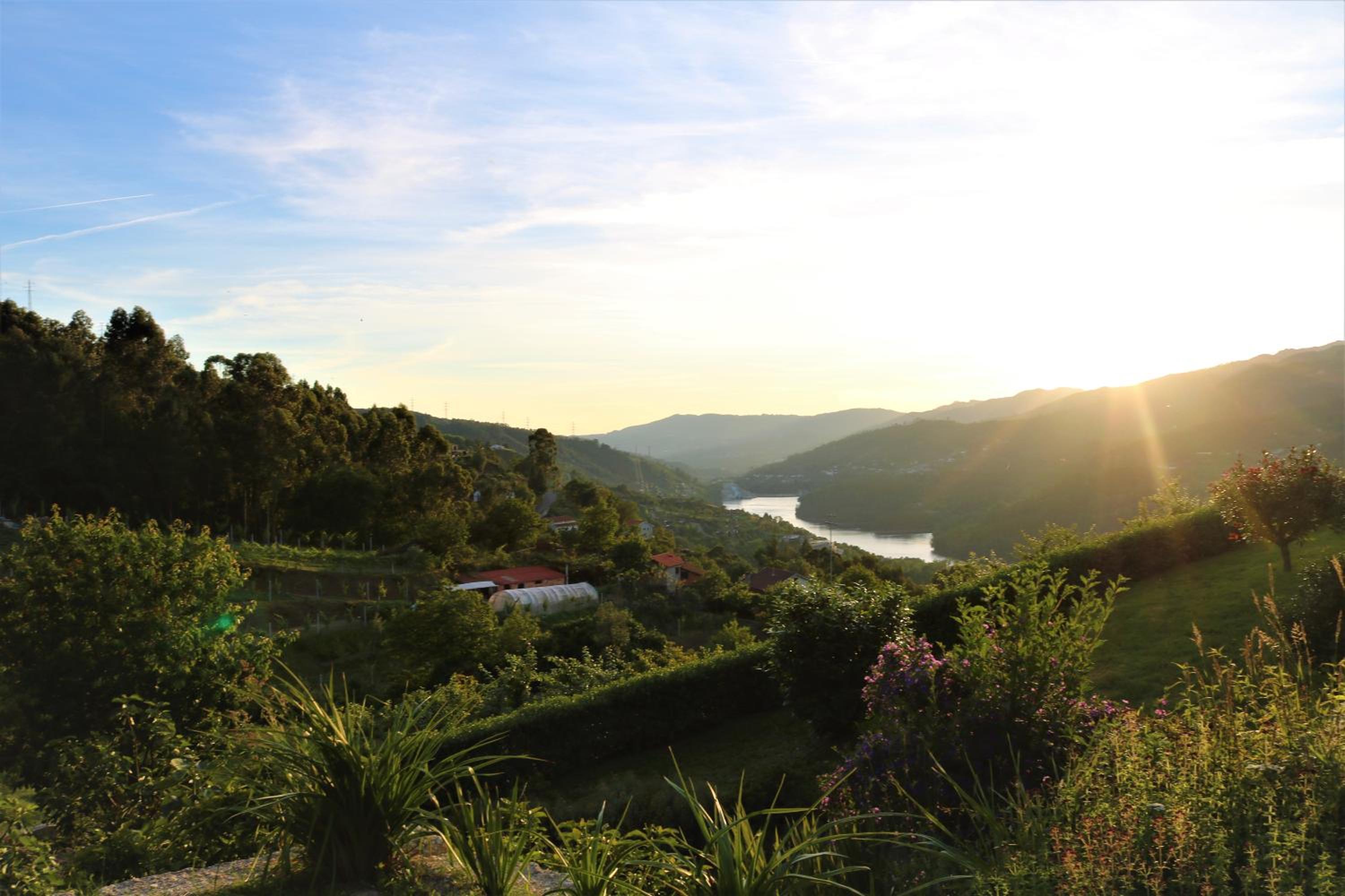 Quinta do Bento