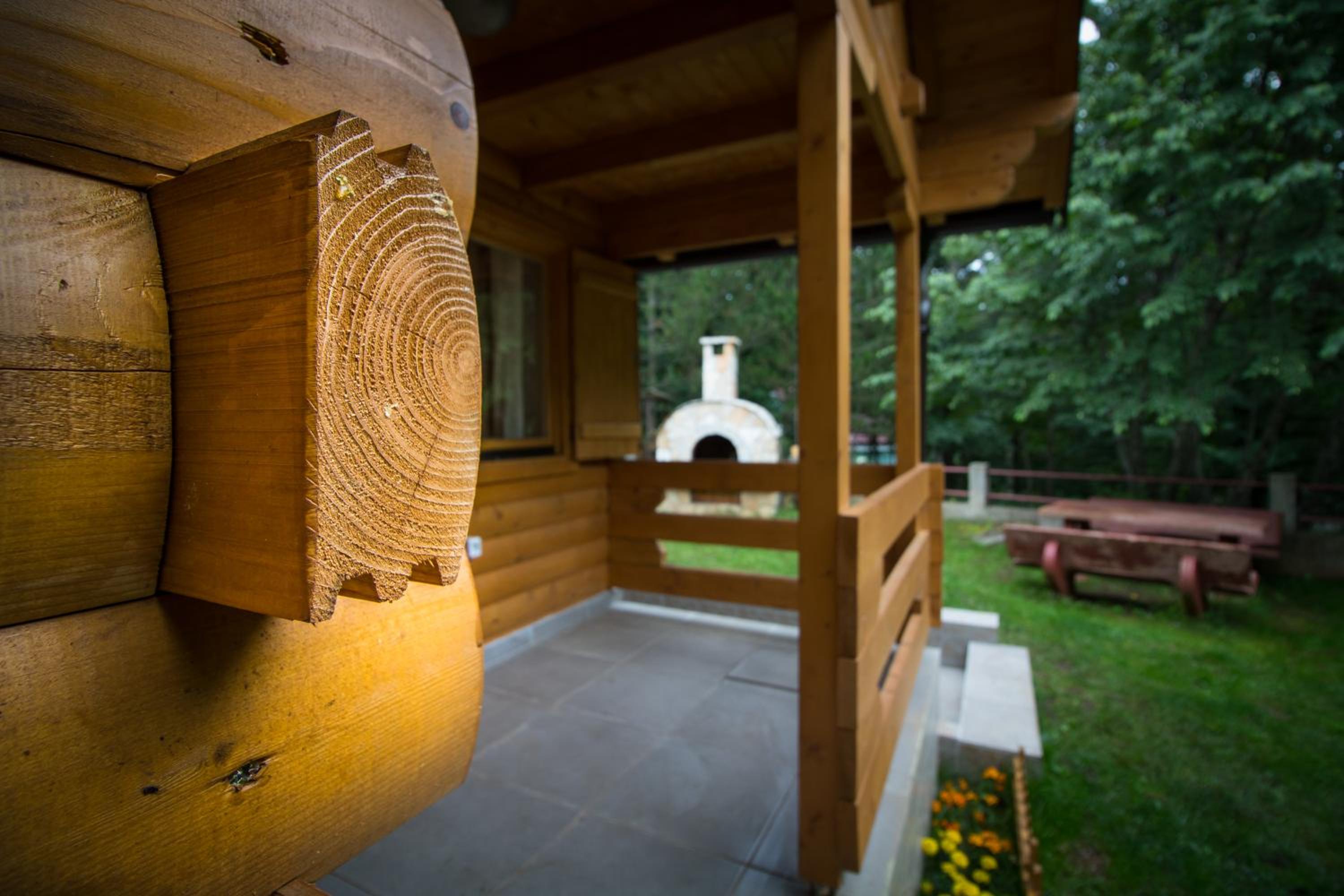 Cabin House Hidden Nest