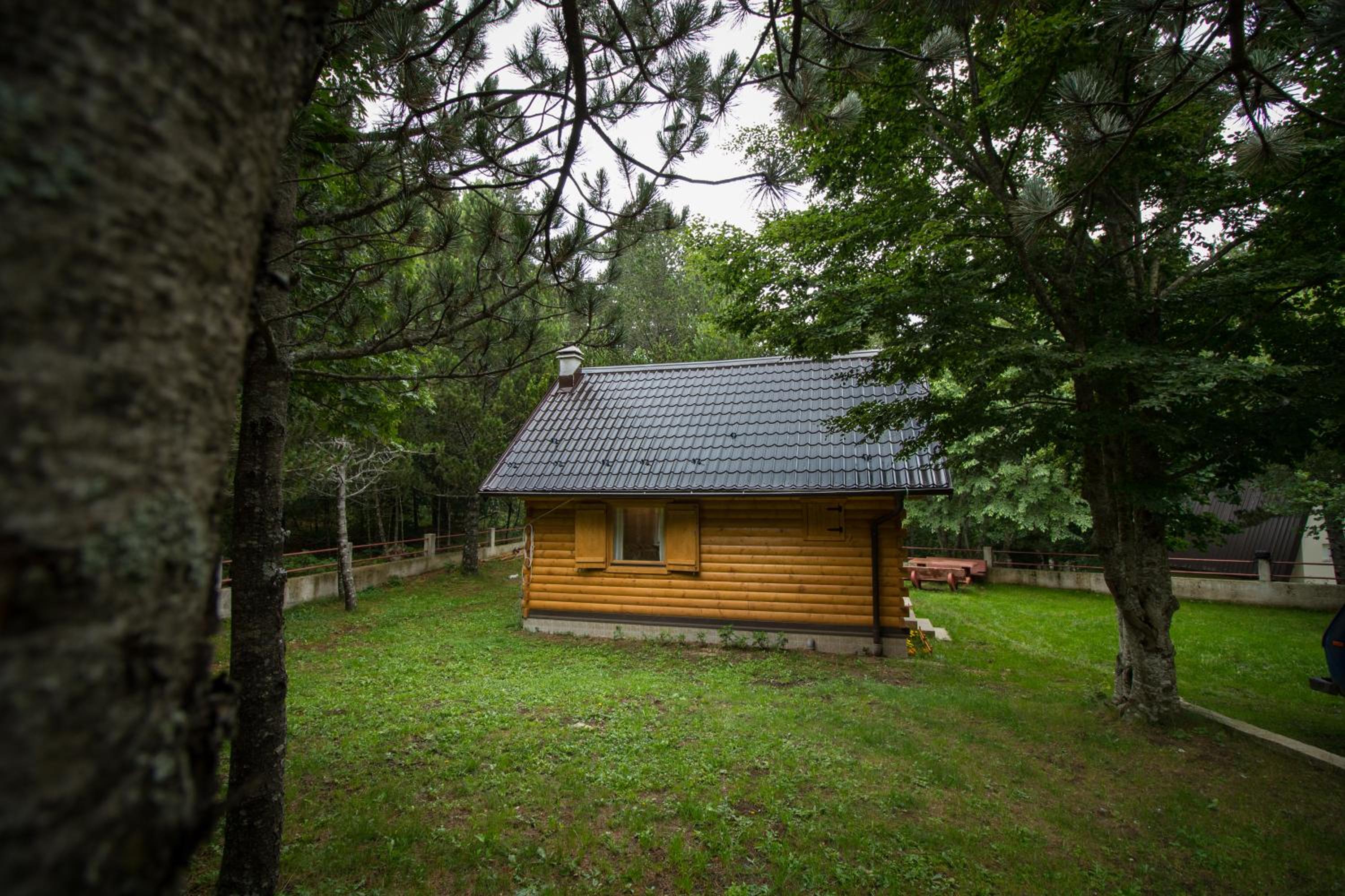Cabin House Hidden Nest