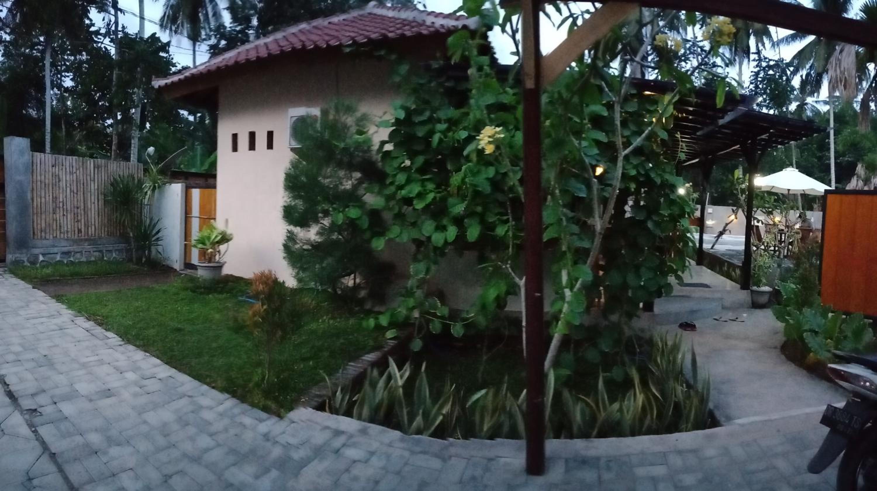 ZiFa Mandalika
