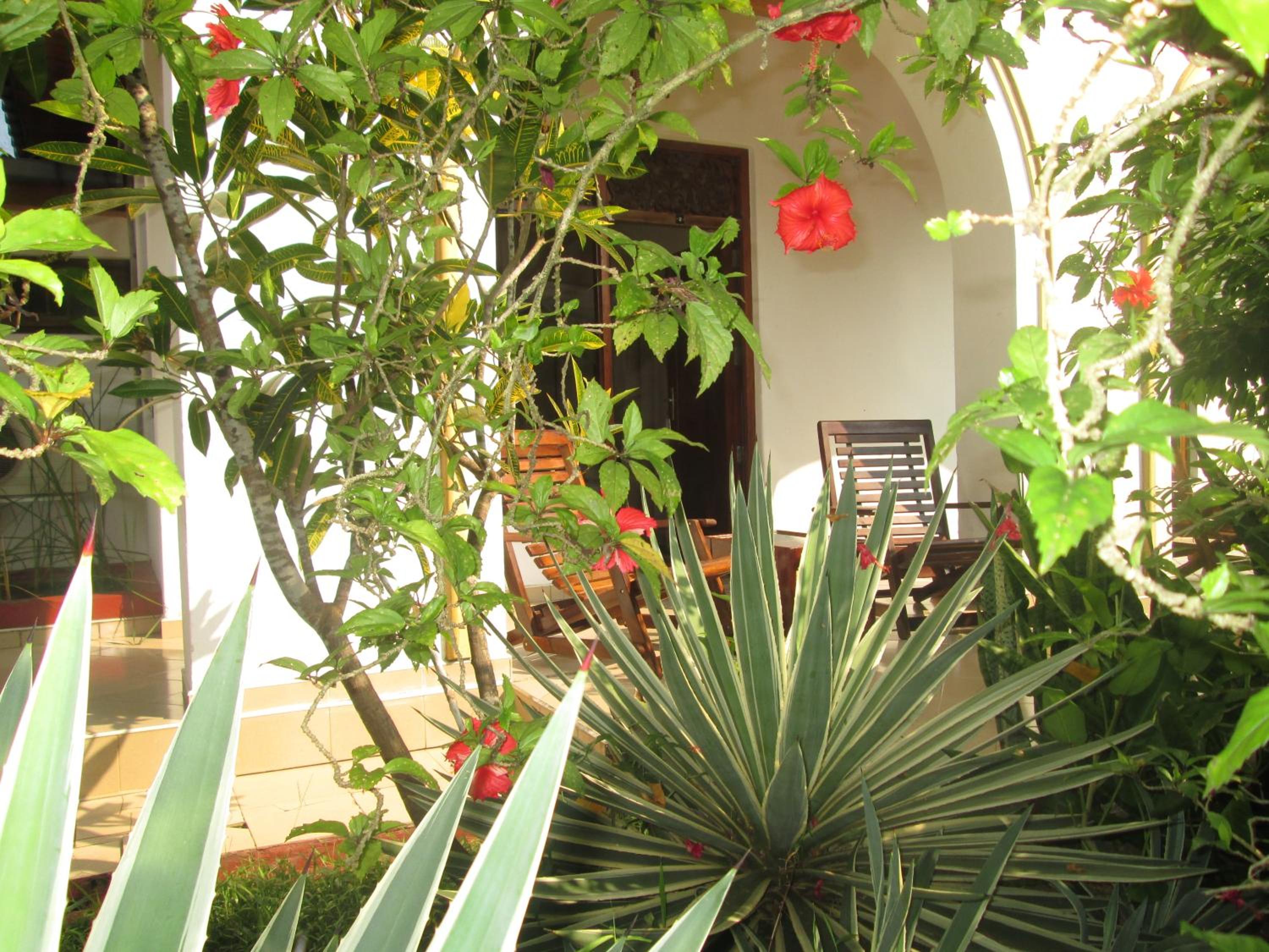 Photo 29
