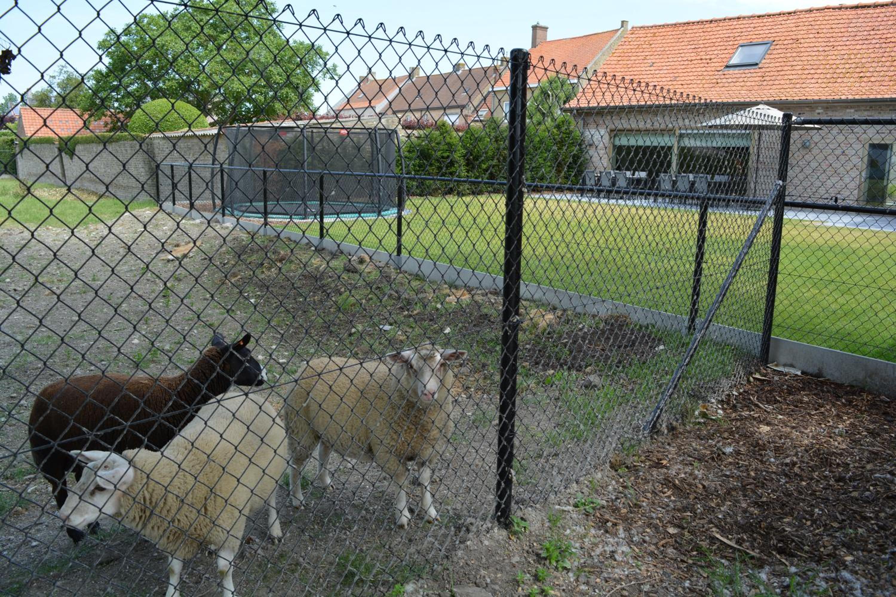 Vakantiewoning Den Landman