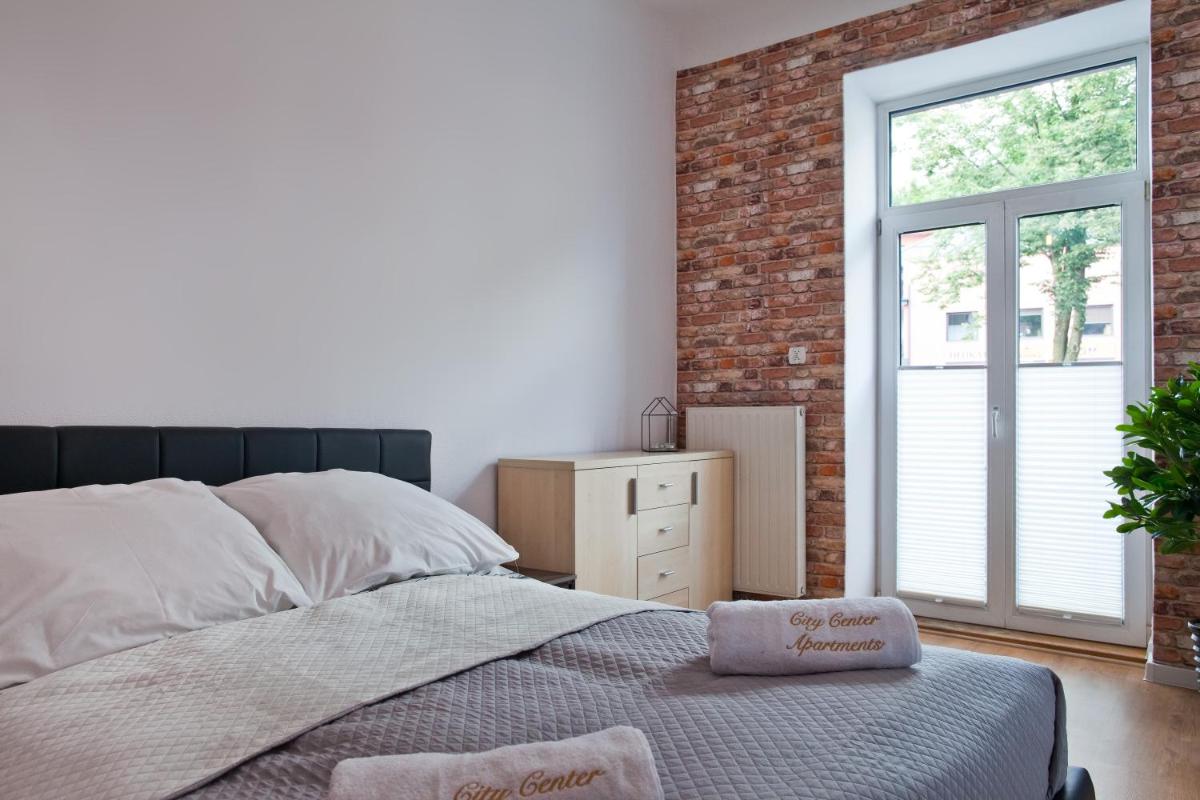 Apartament City Center Grand Loft view 3