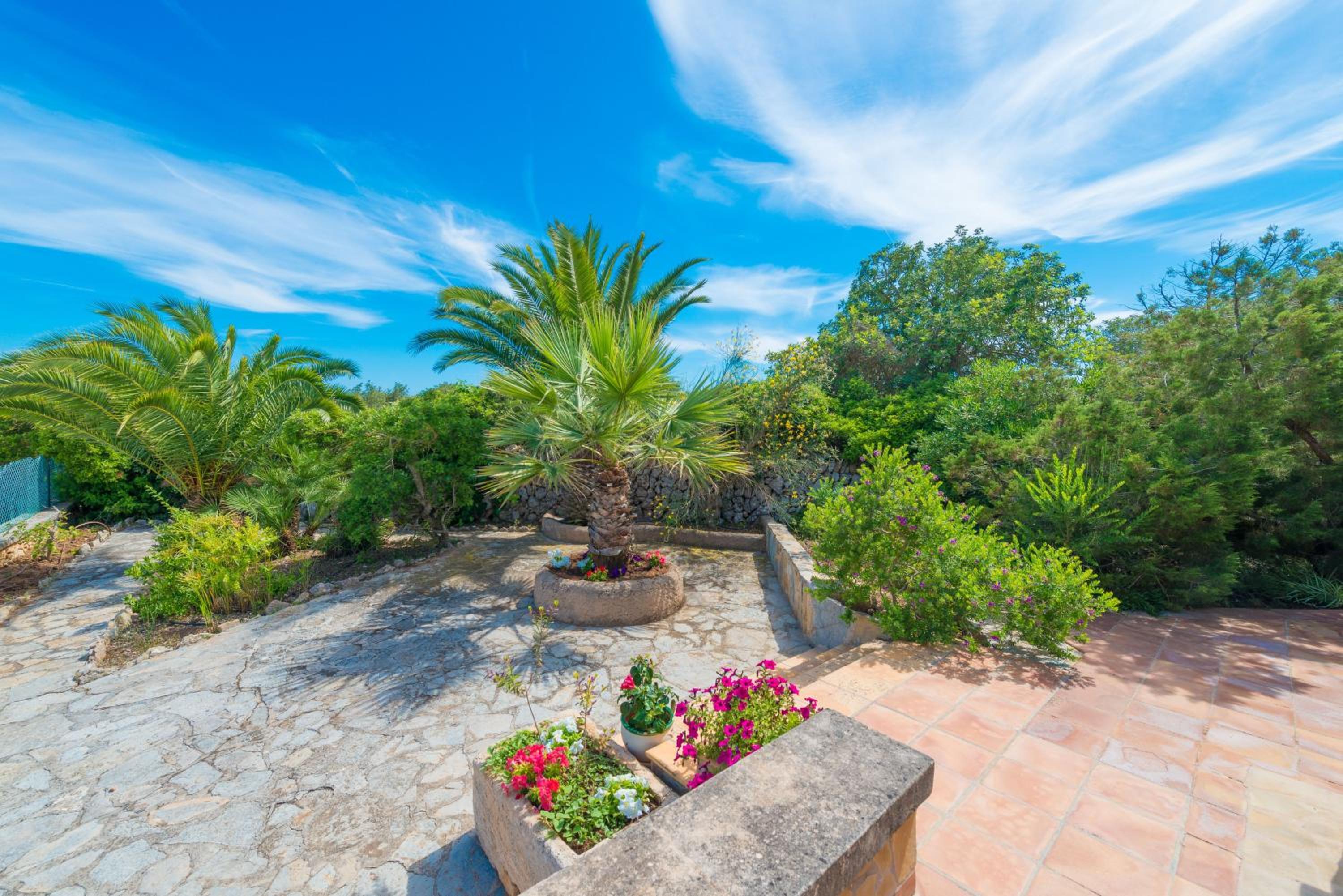 Barcelo-Danus view 5