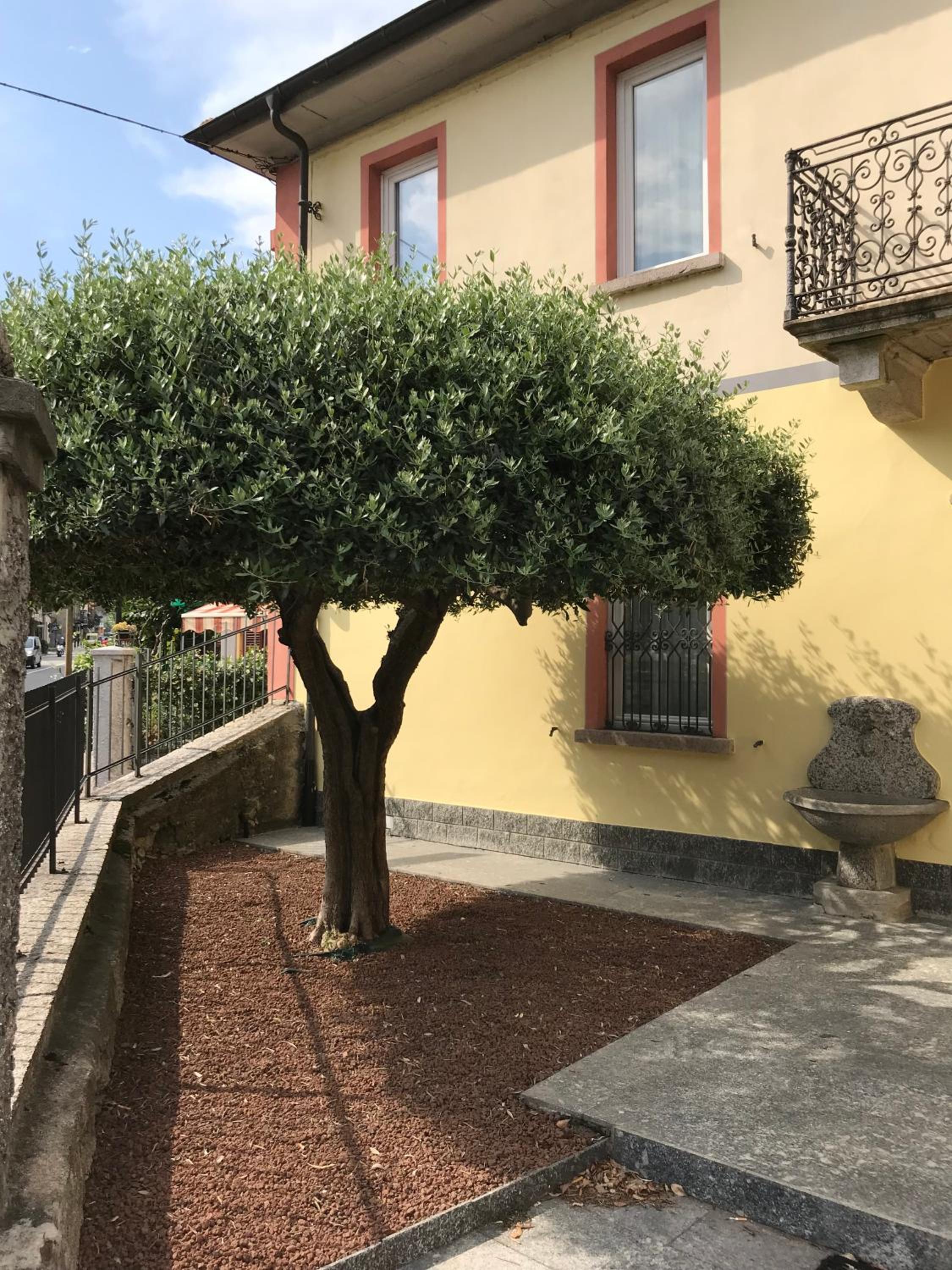 Casa Patrizia