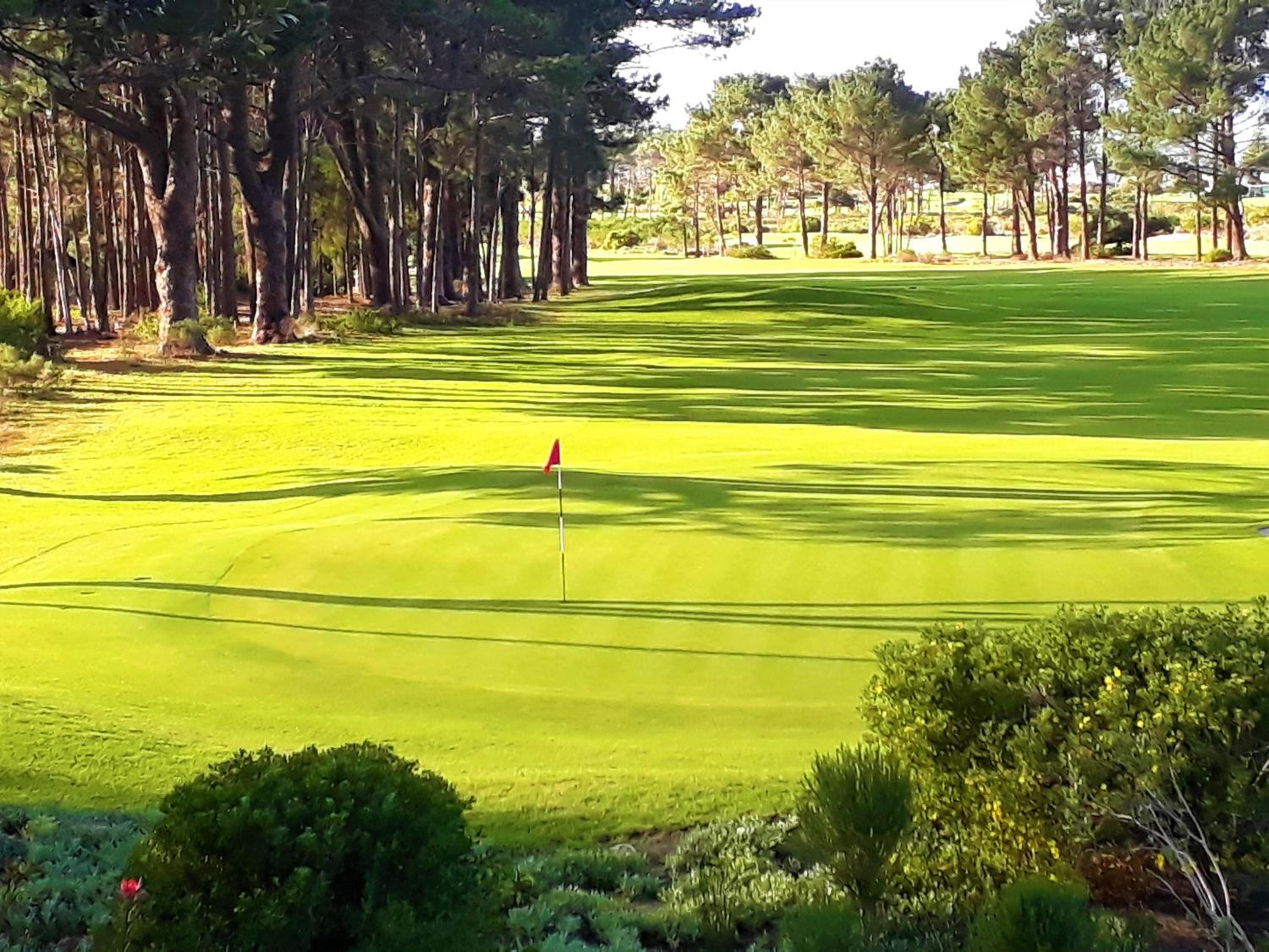 Hermanus Lodge on the Green - Solar Power — photo 28