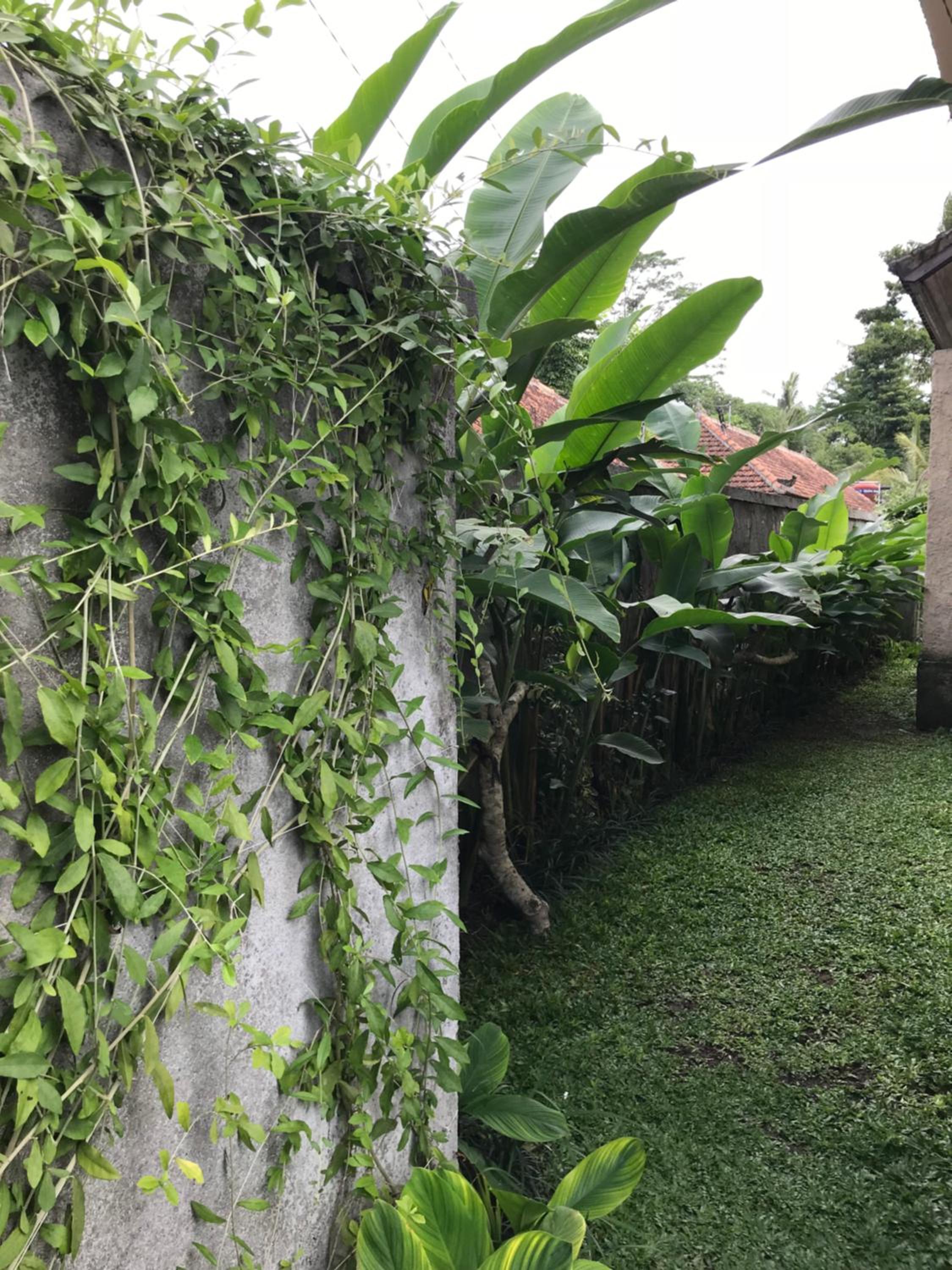 Rumah Dadong