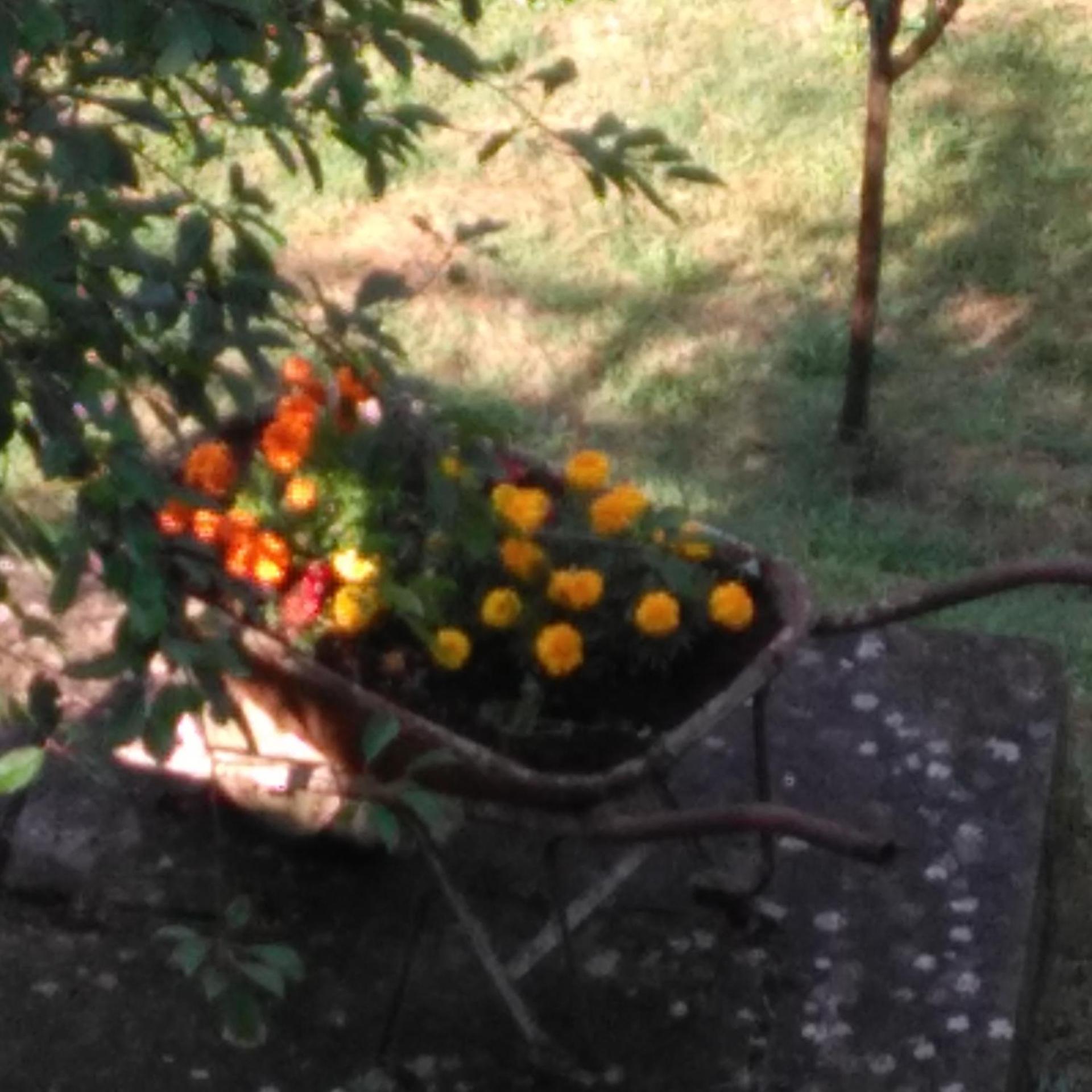 Photo 17