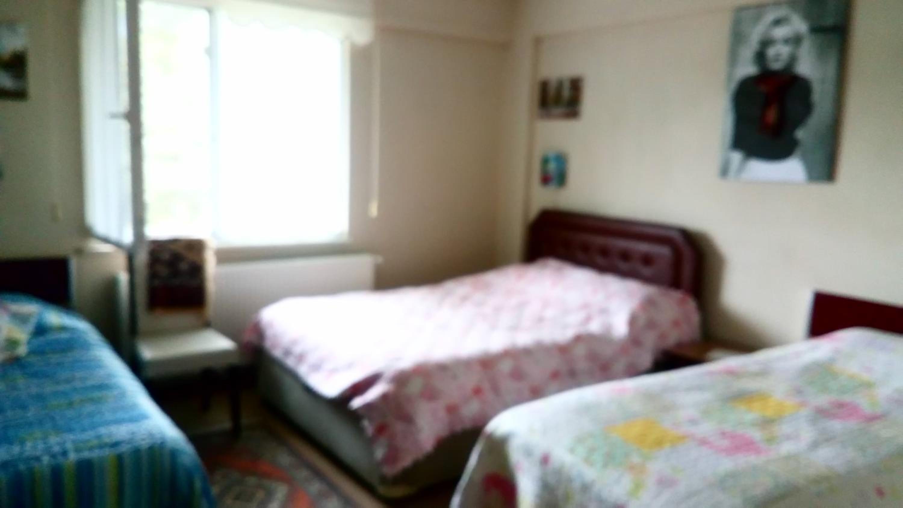 Ekolojik Güney Köy Pembe Köşk view 3
