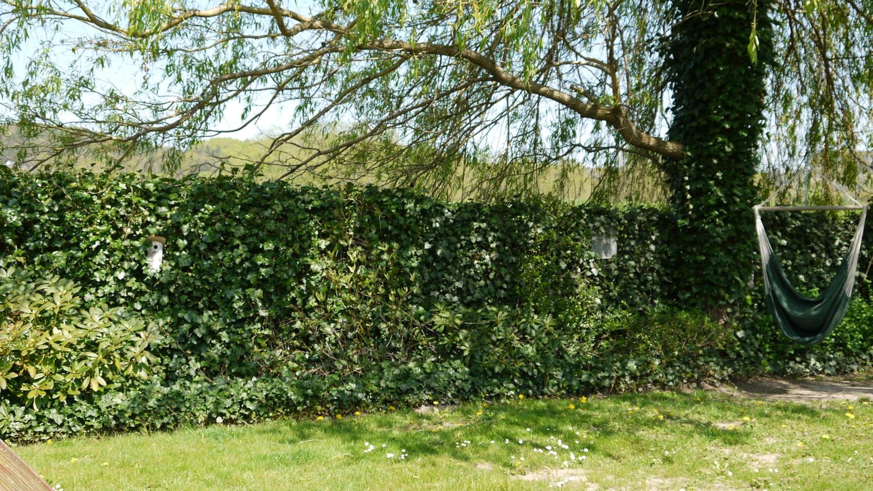 Photo 25