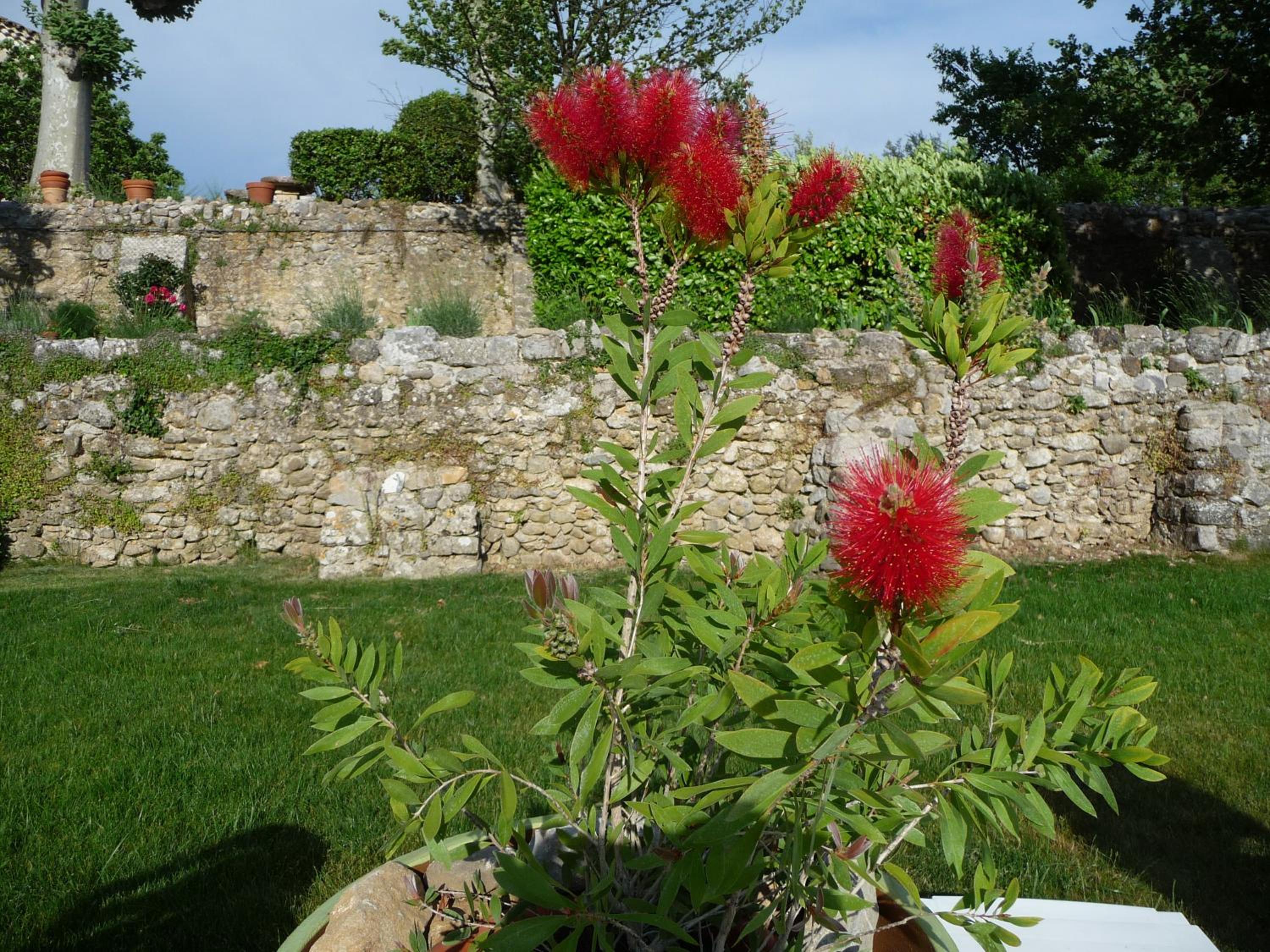 Domaine de Rochebelle
