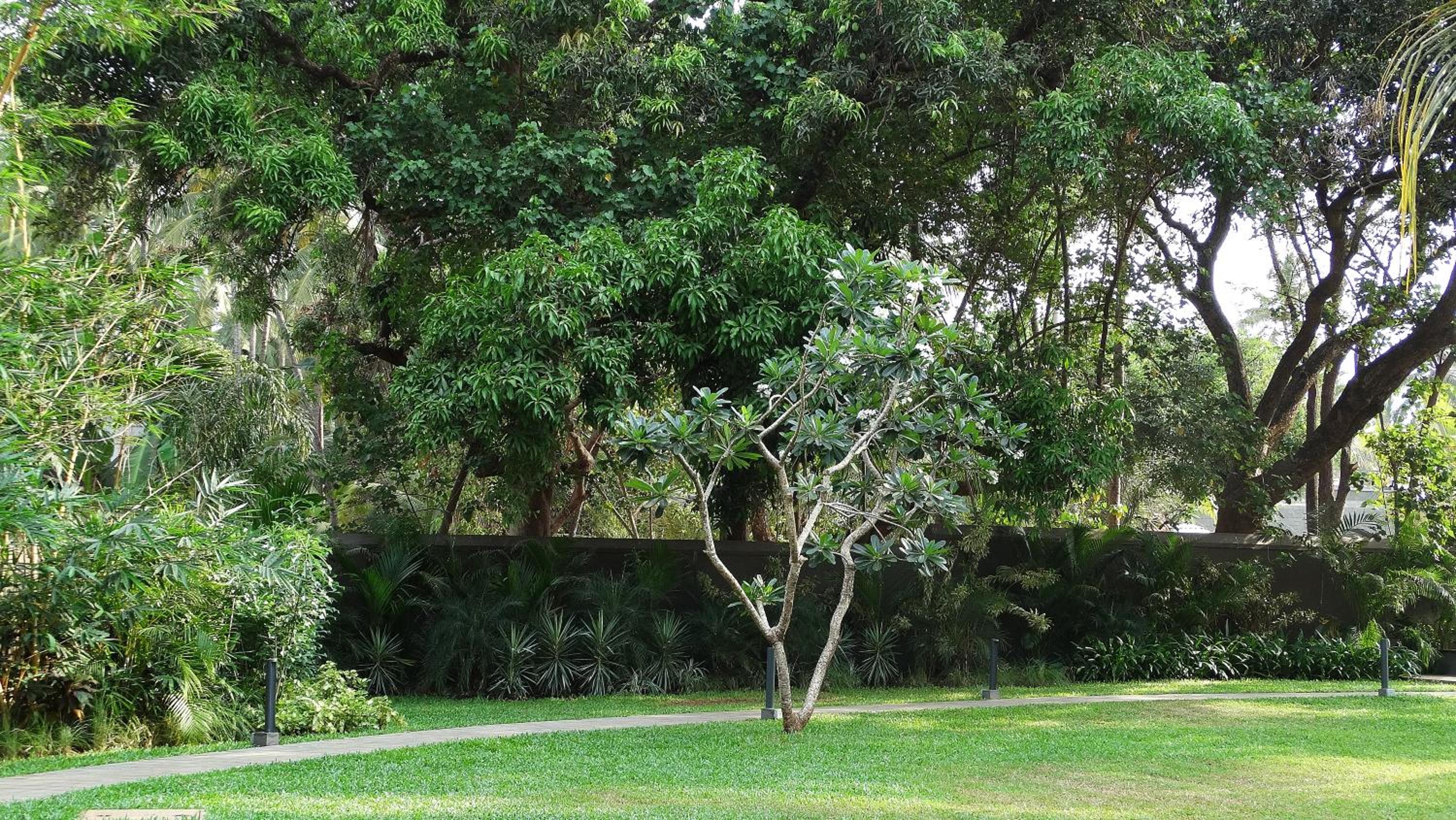 Andores Resort And Spa - Calangute