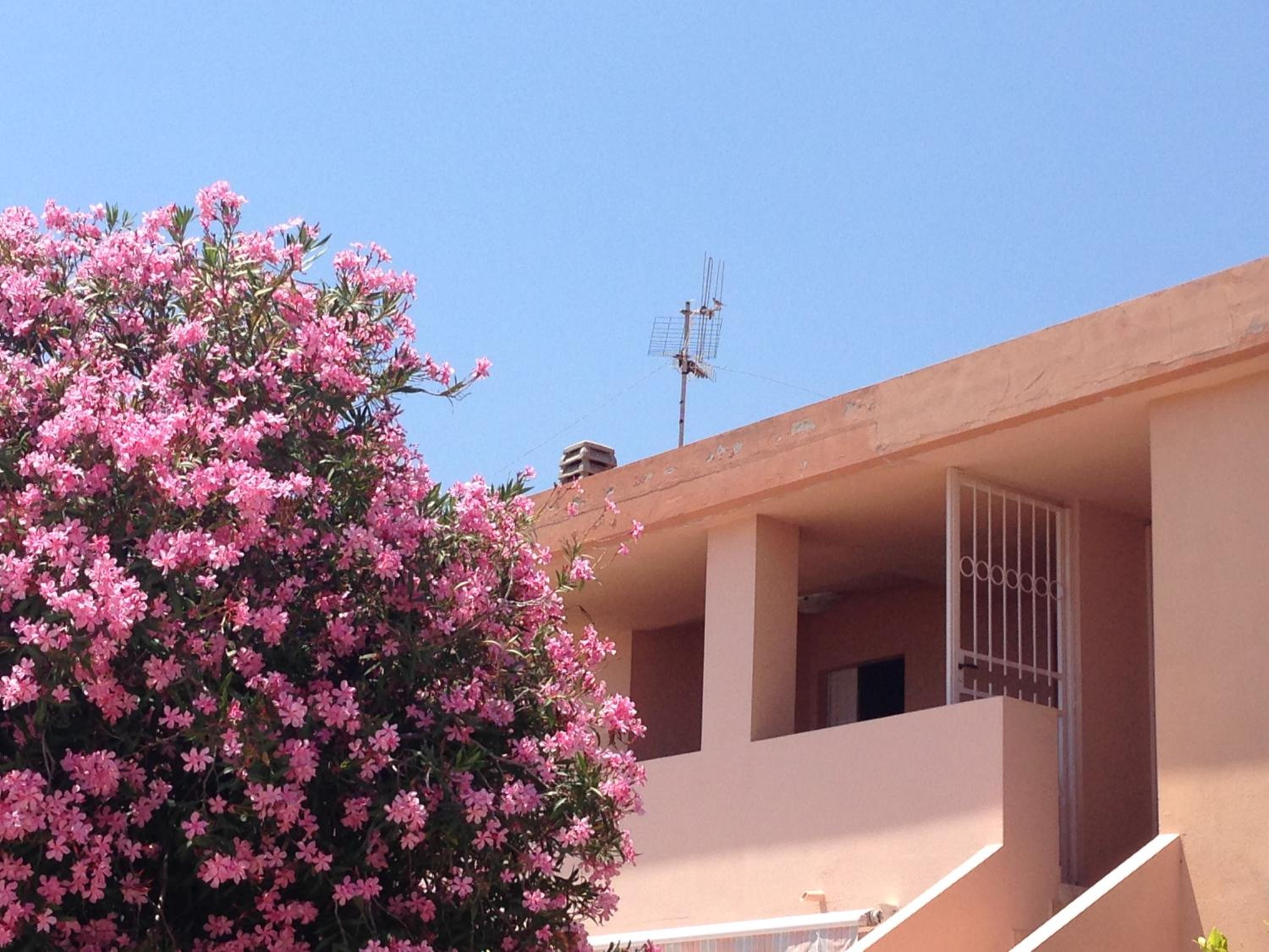 Appartamento IGNIS Cala Gonone photo 2