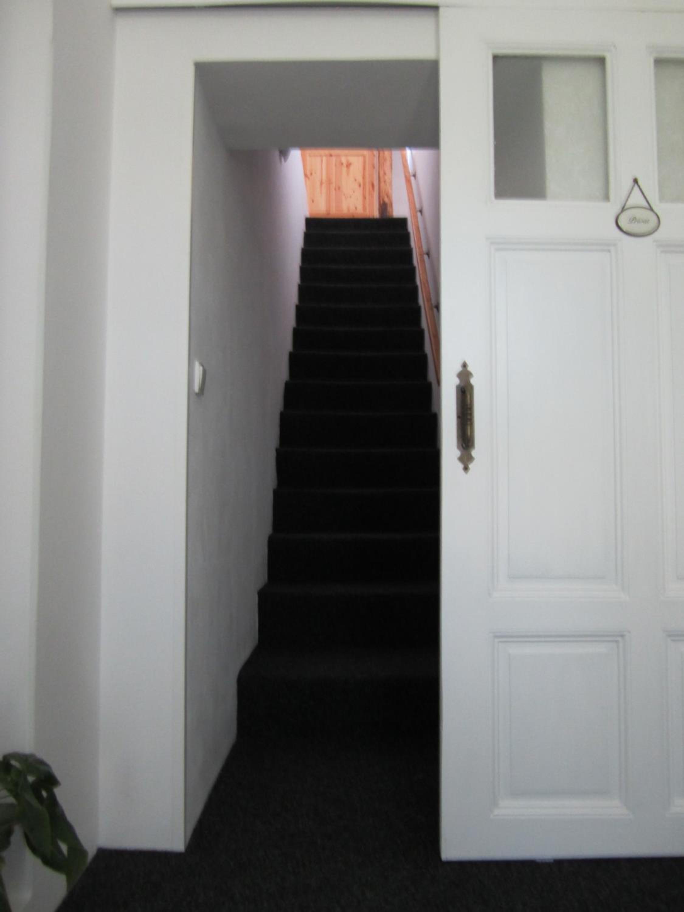 Apartmán U Borovice