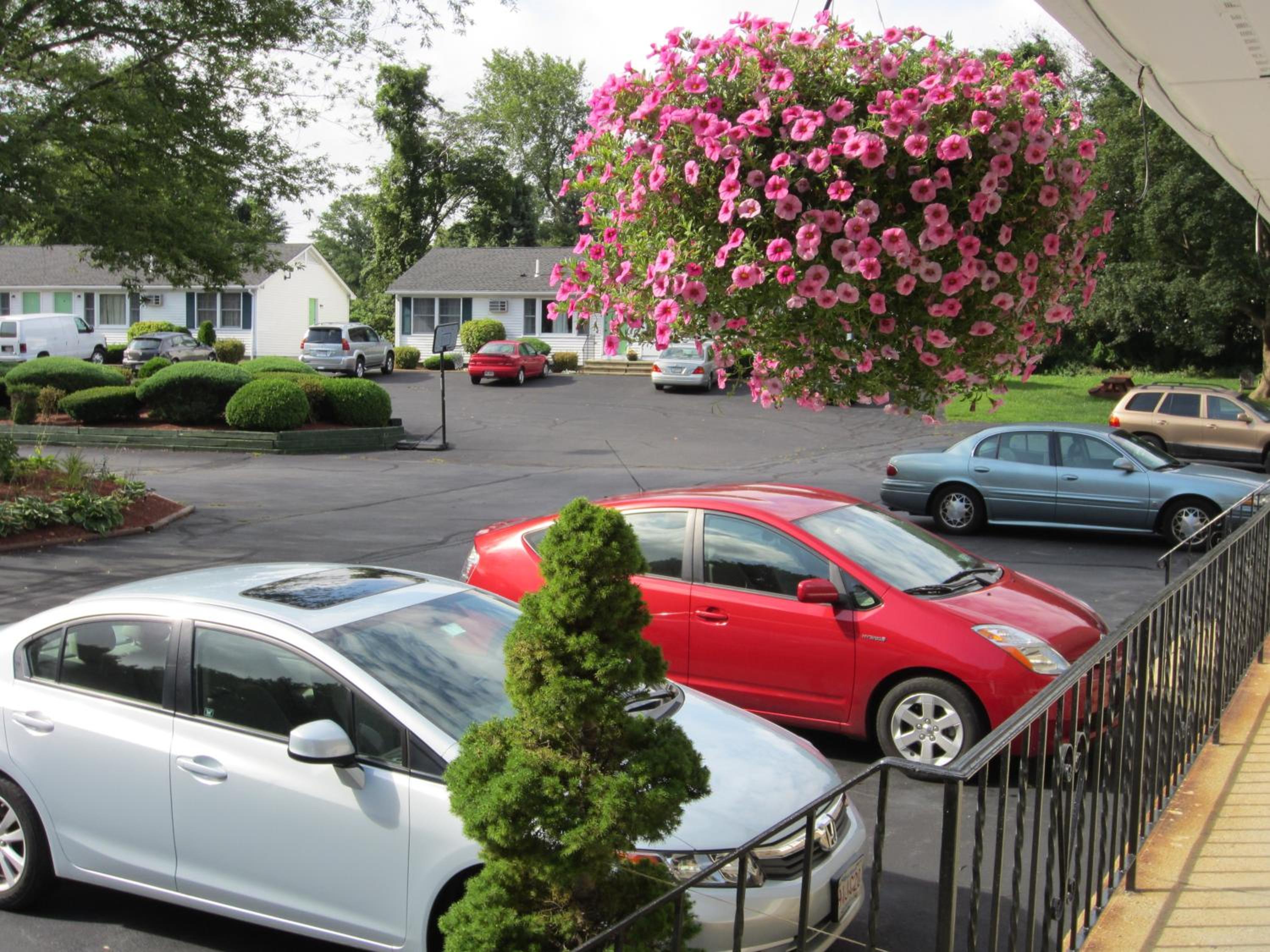 Photo 43