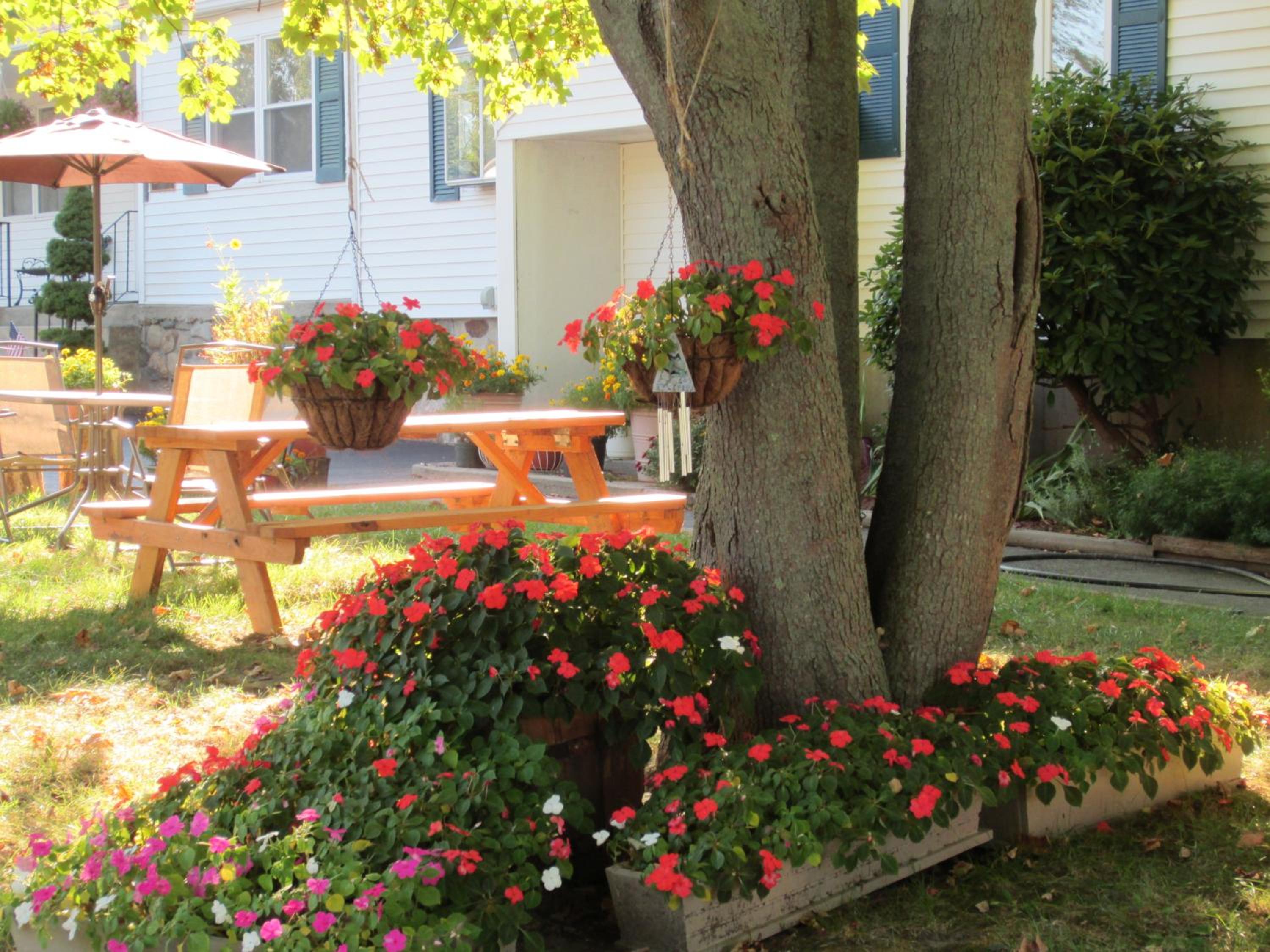 Photo 31