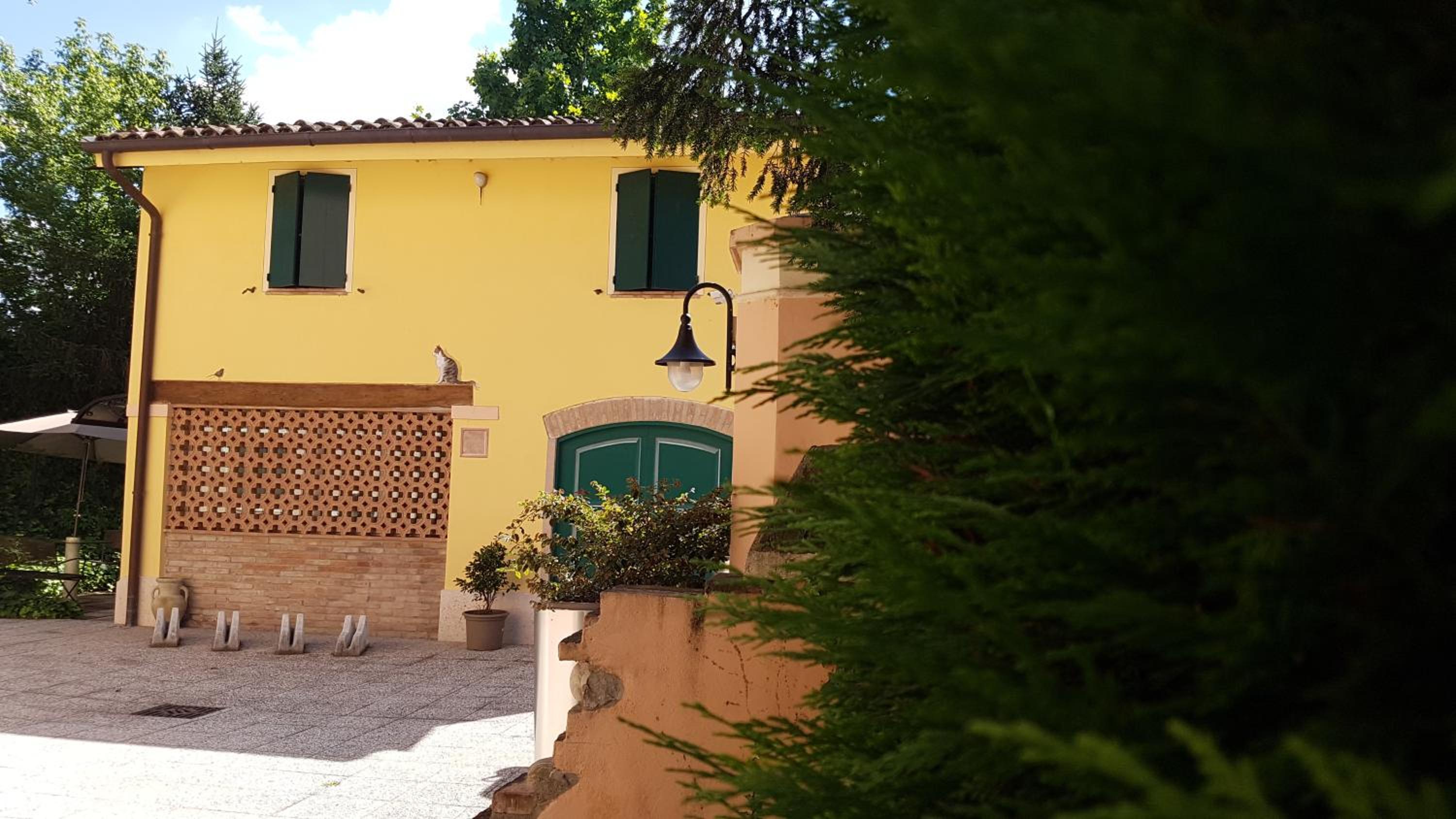 Photo 54