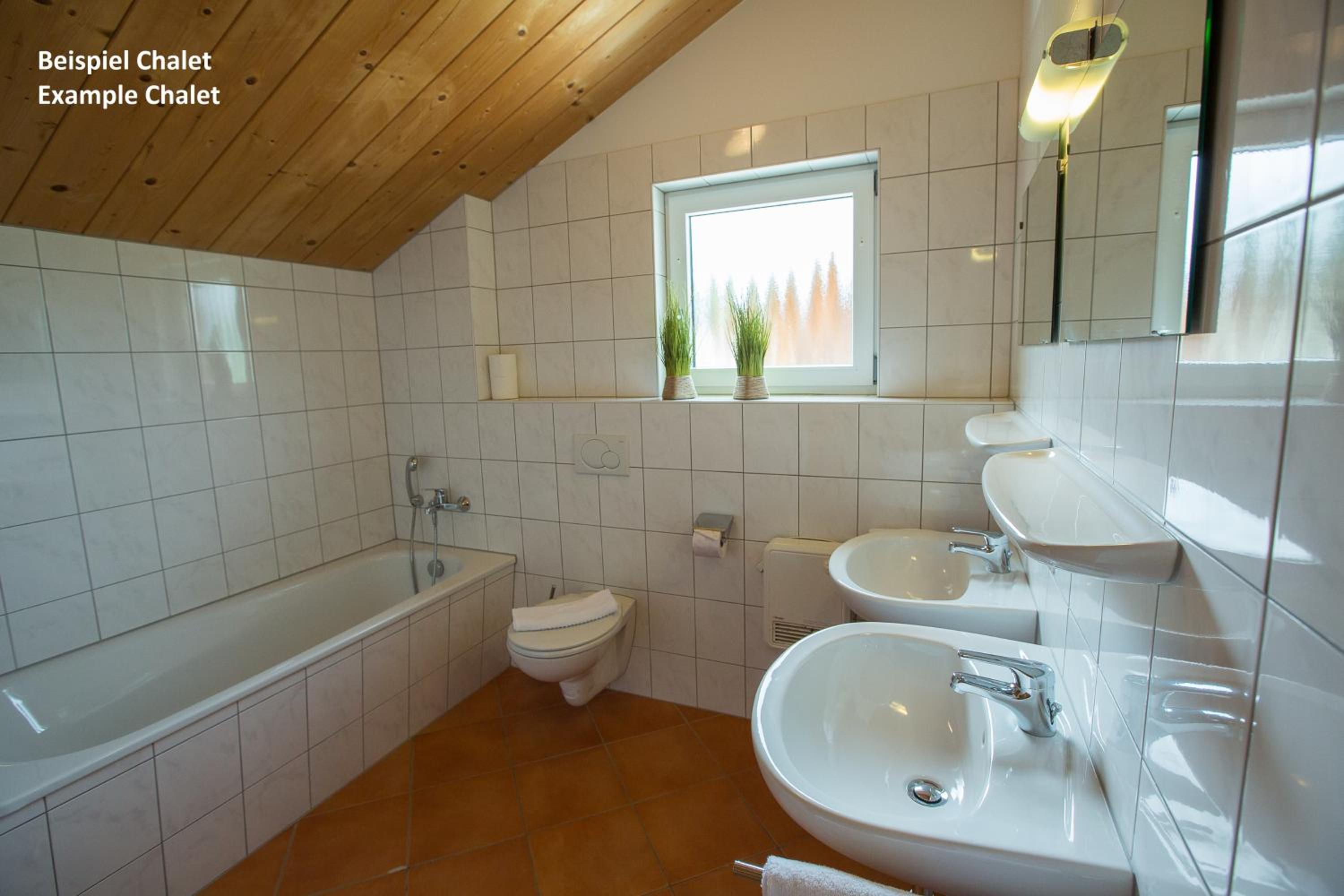 Alpendorf Dachstein West by ALPS RESORTS