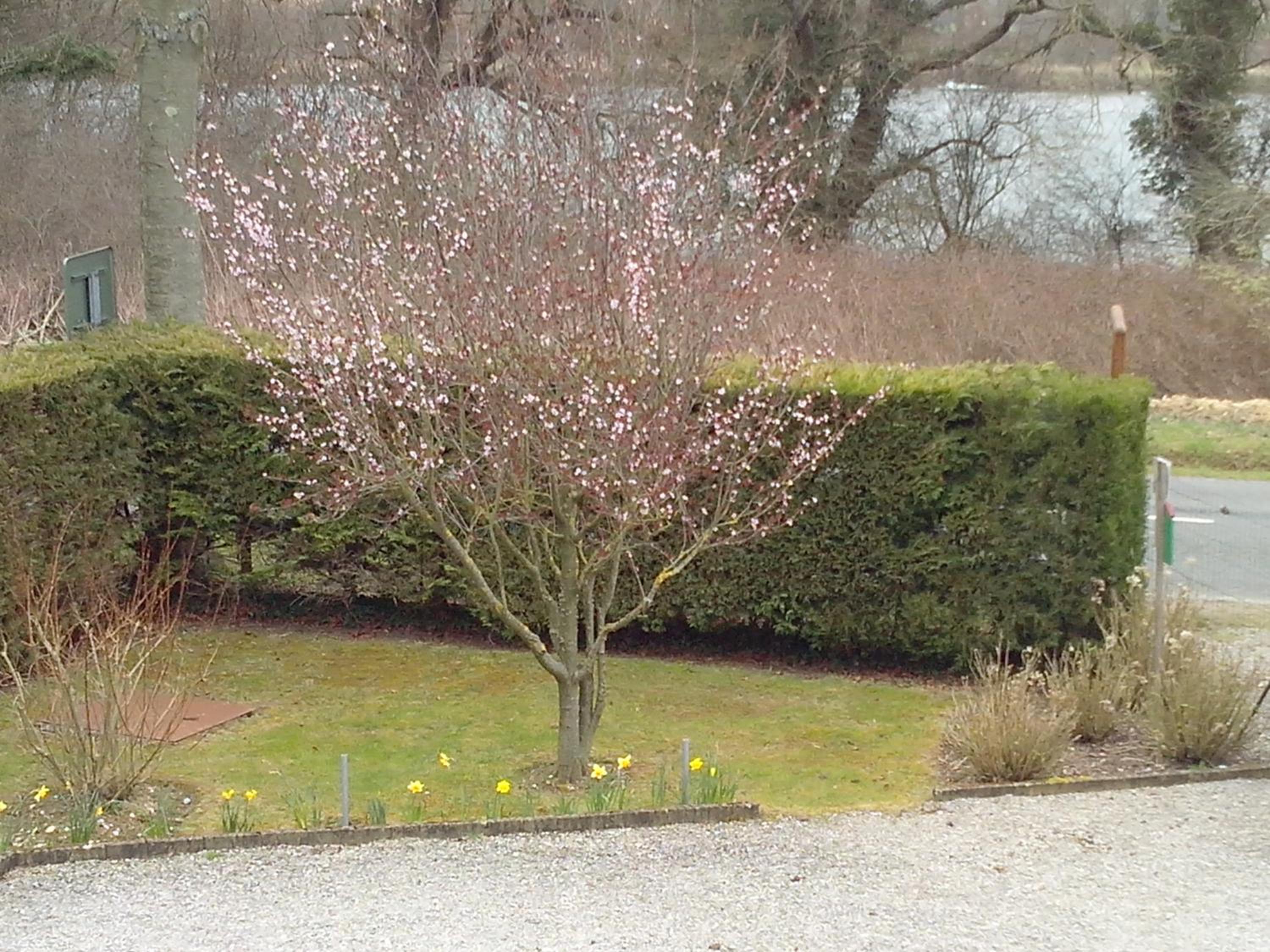 La Bourgade view 4